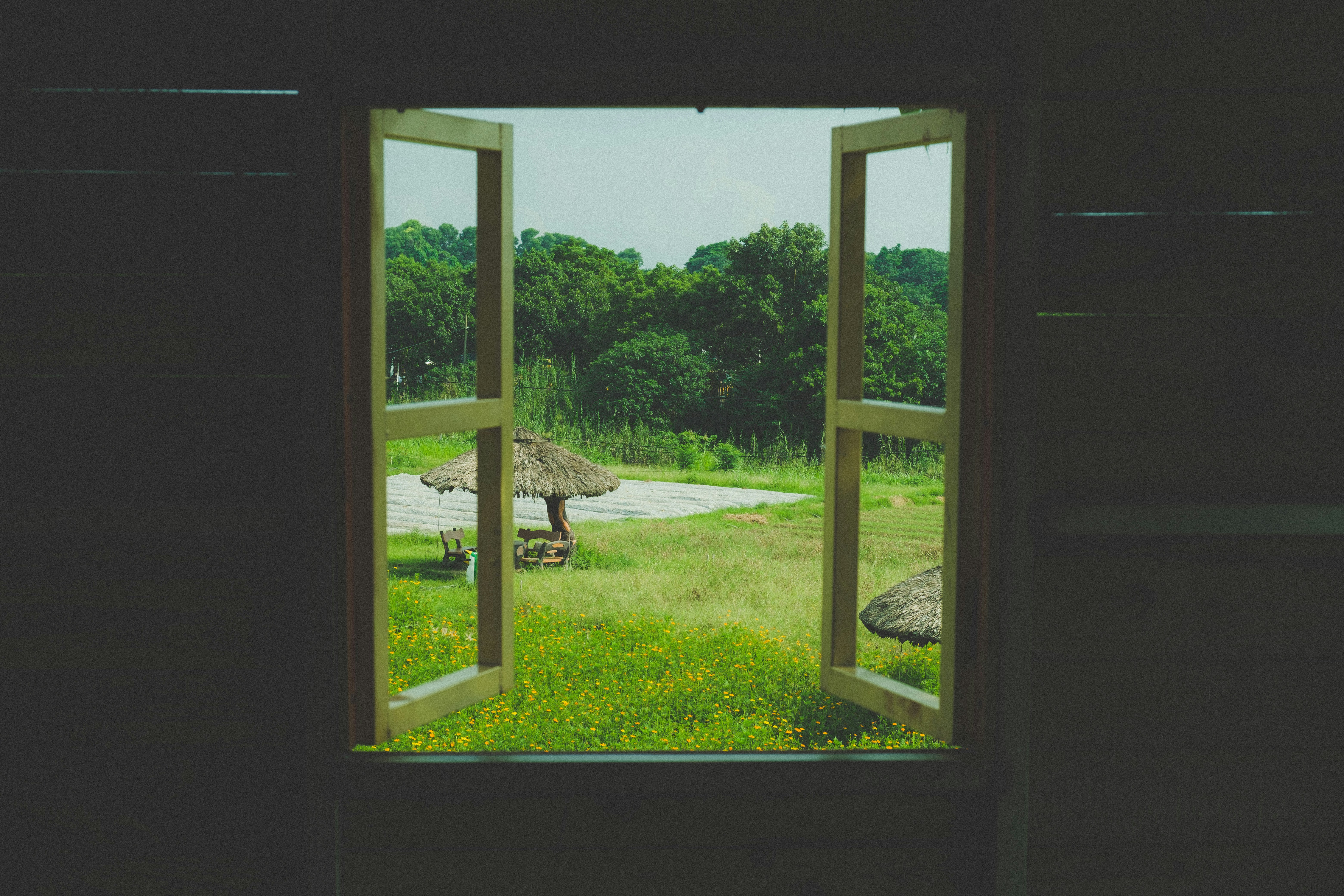 a giraffe in a zoo exhibit