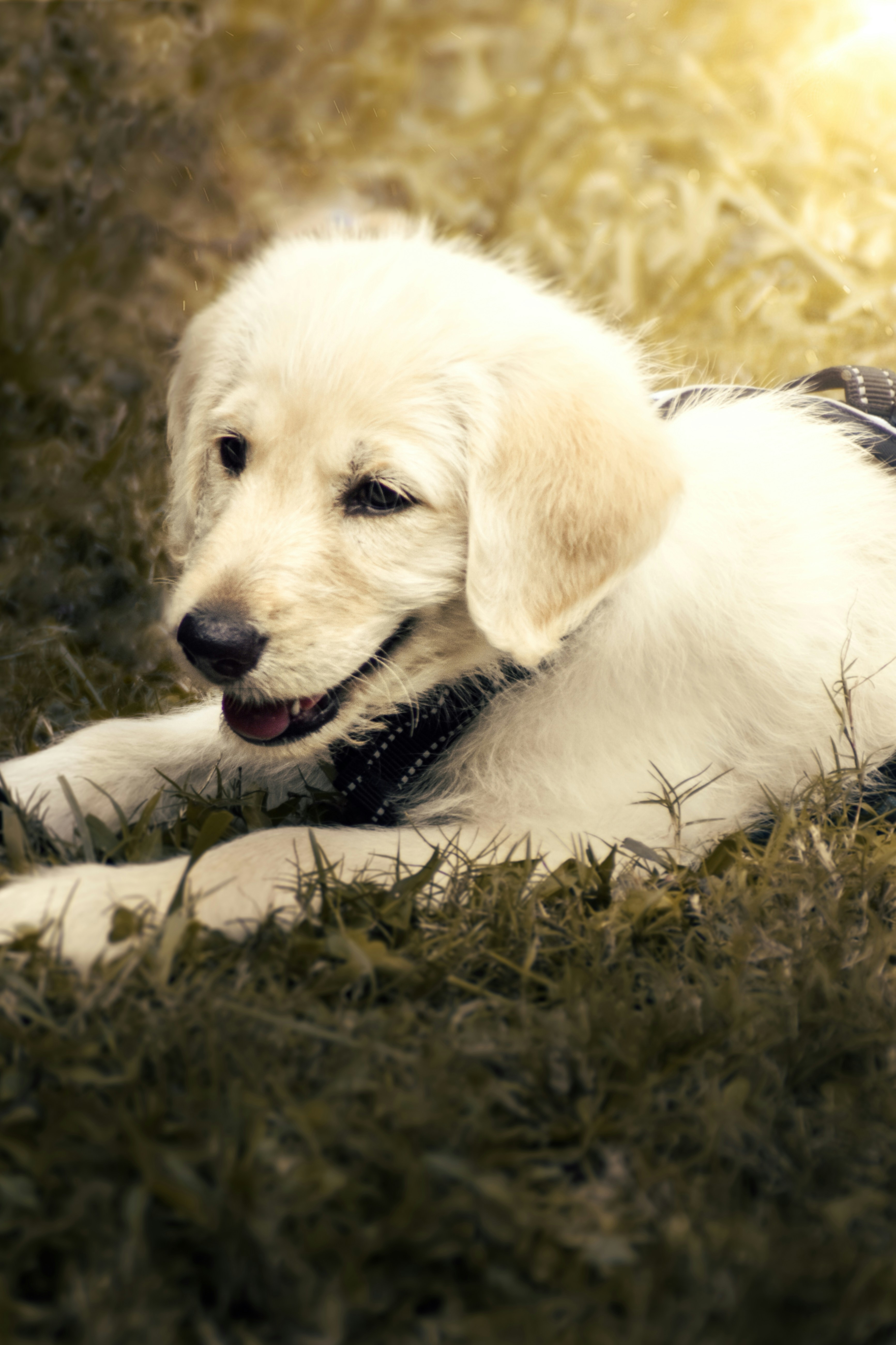 Photo by william_rudolph