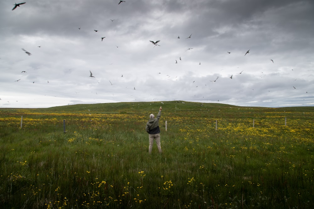 a person flying a kite