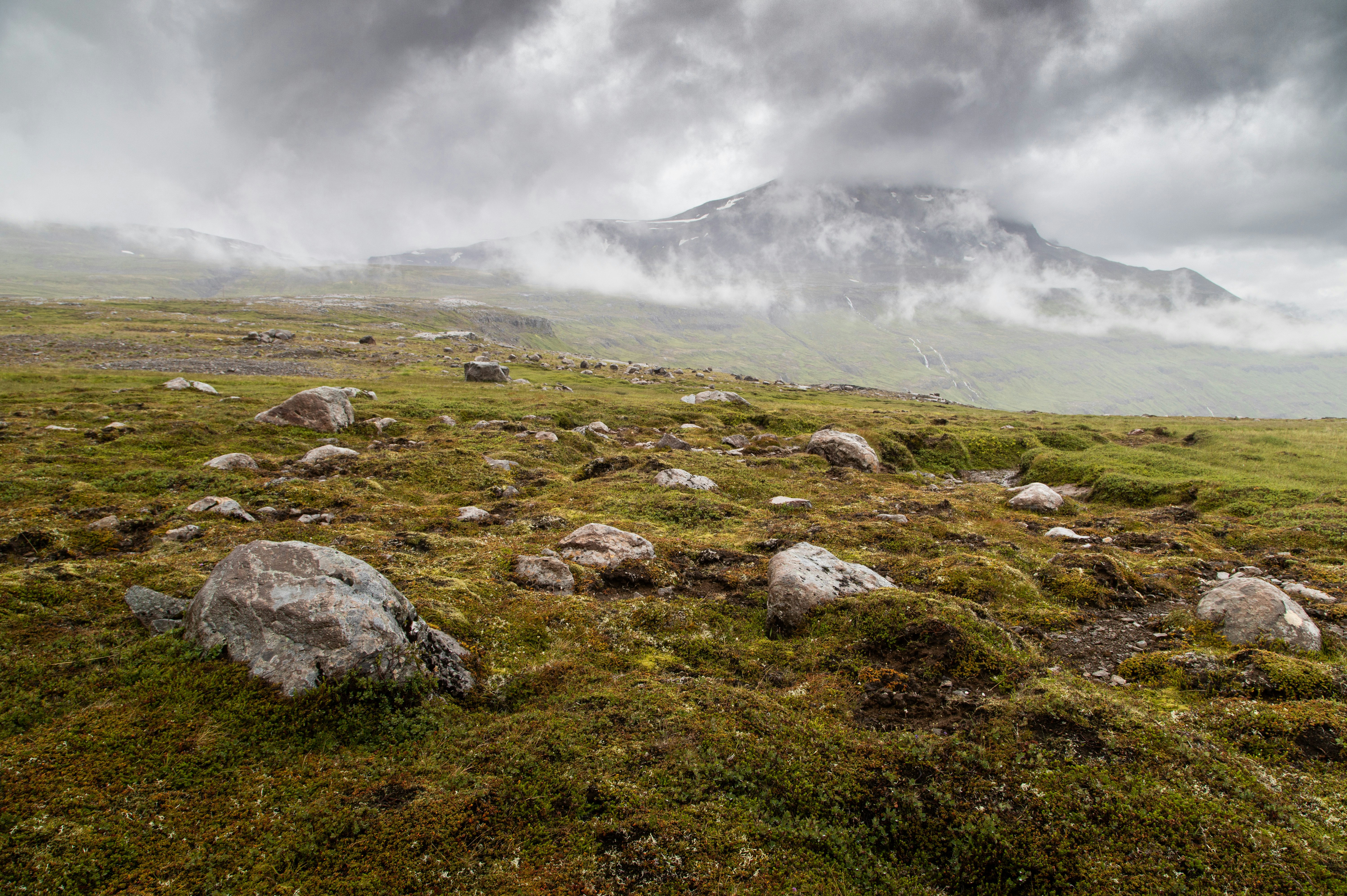 Photo by capturelight