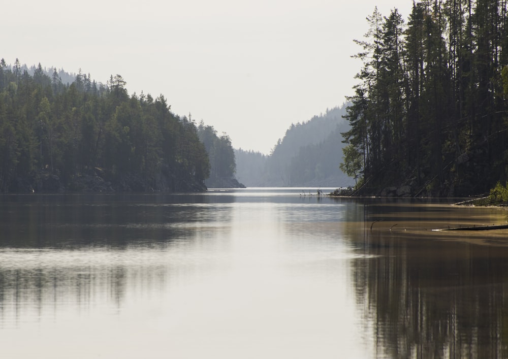 a lake surrounded by trees