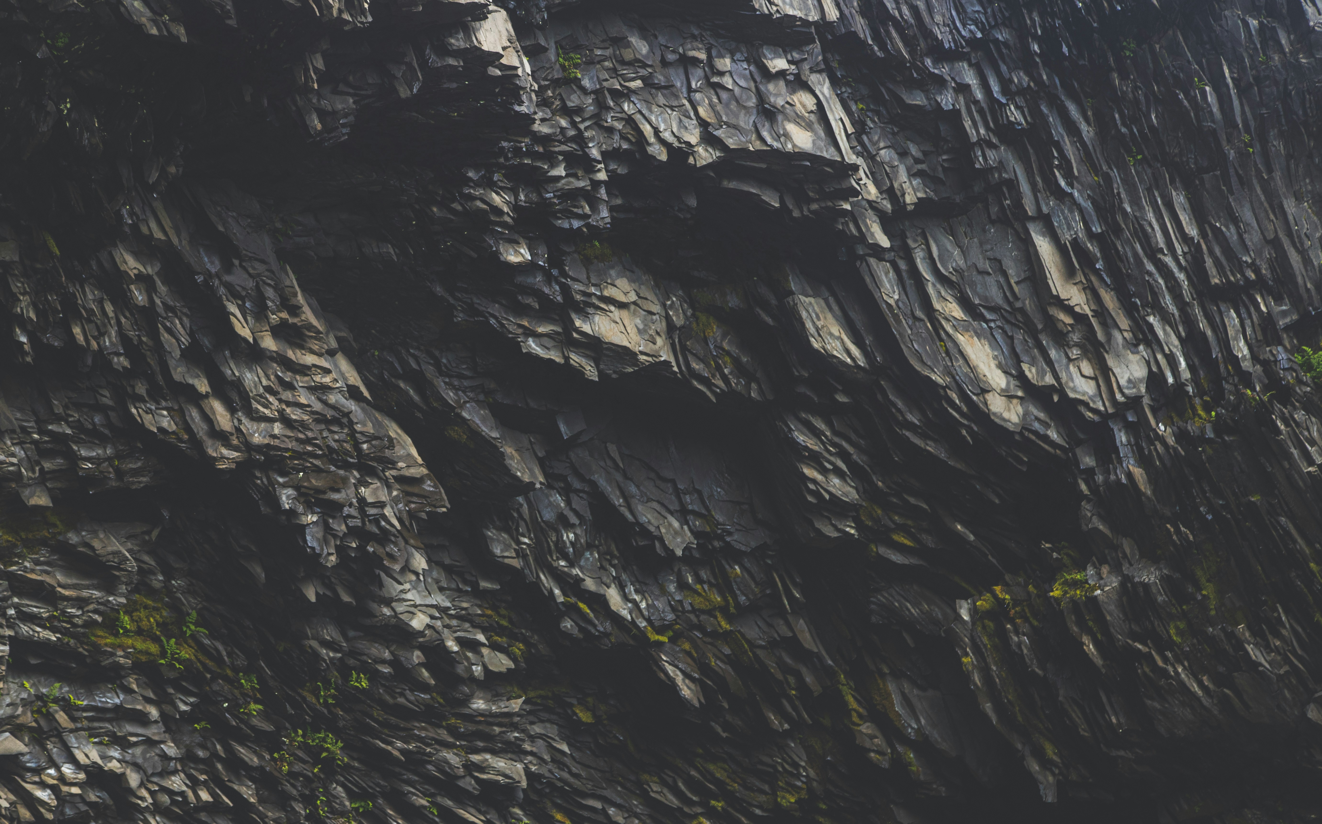 Photo by capturelight