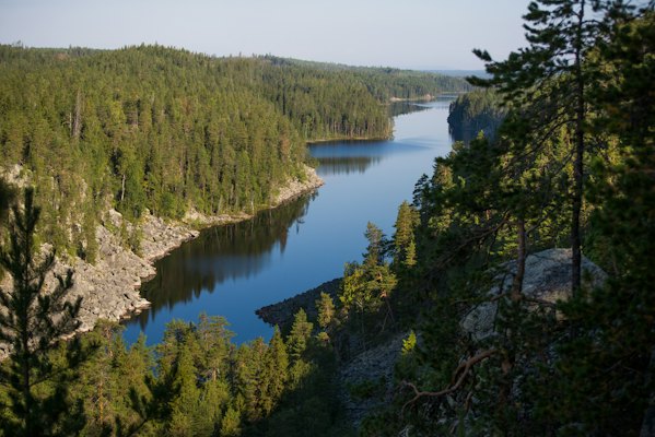 A lake among the pines from the cliff above — Karelia, Russia
