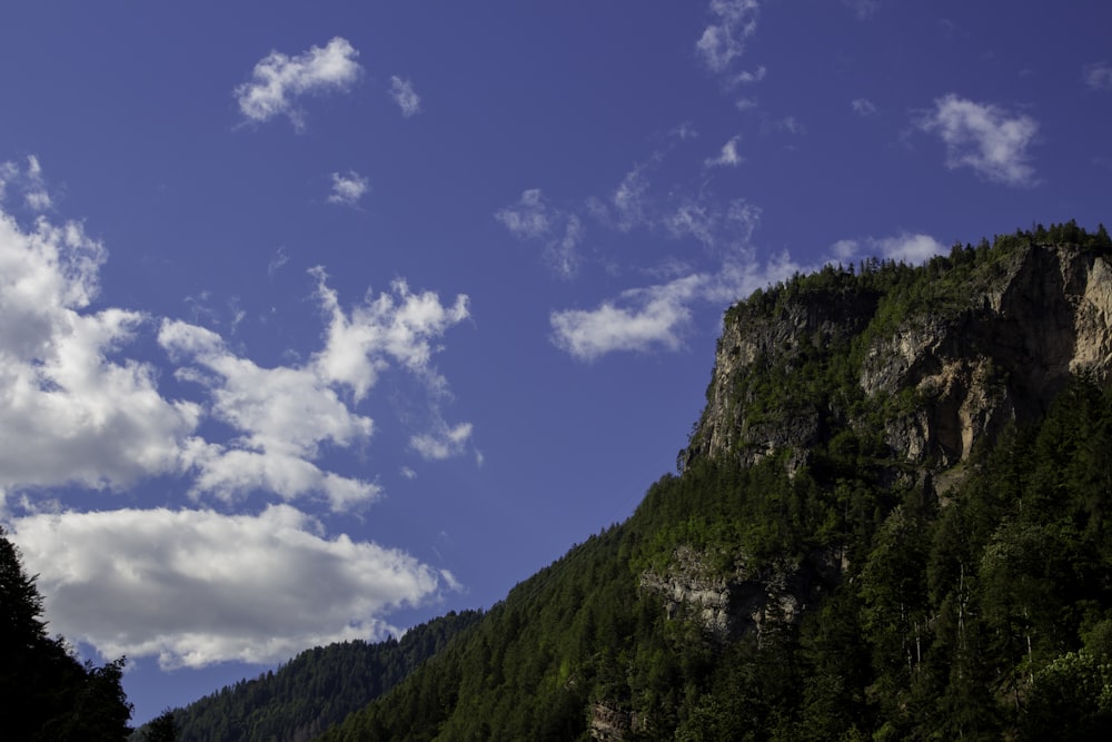 a rocky mountain with trees