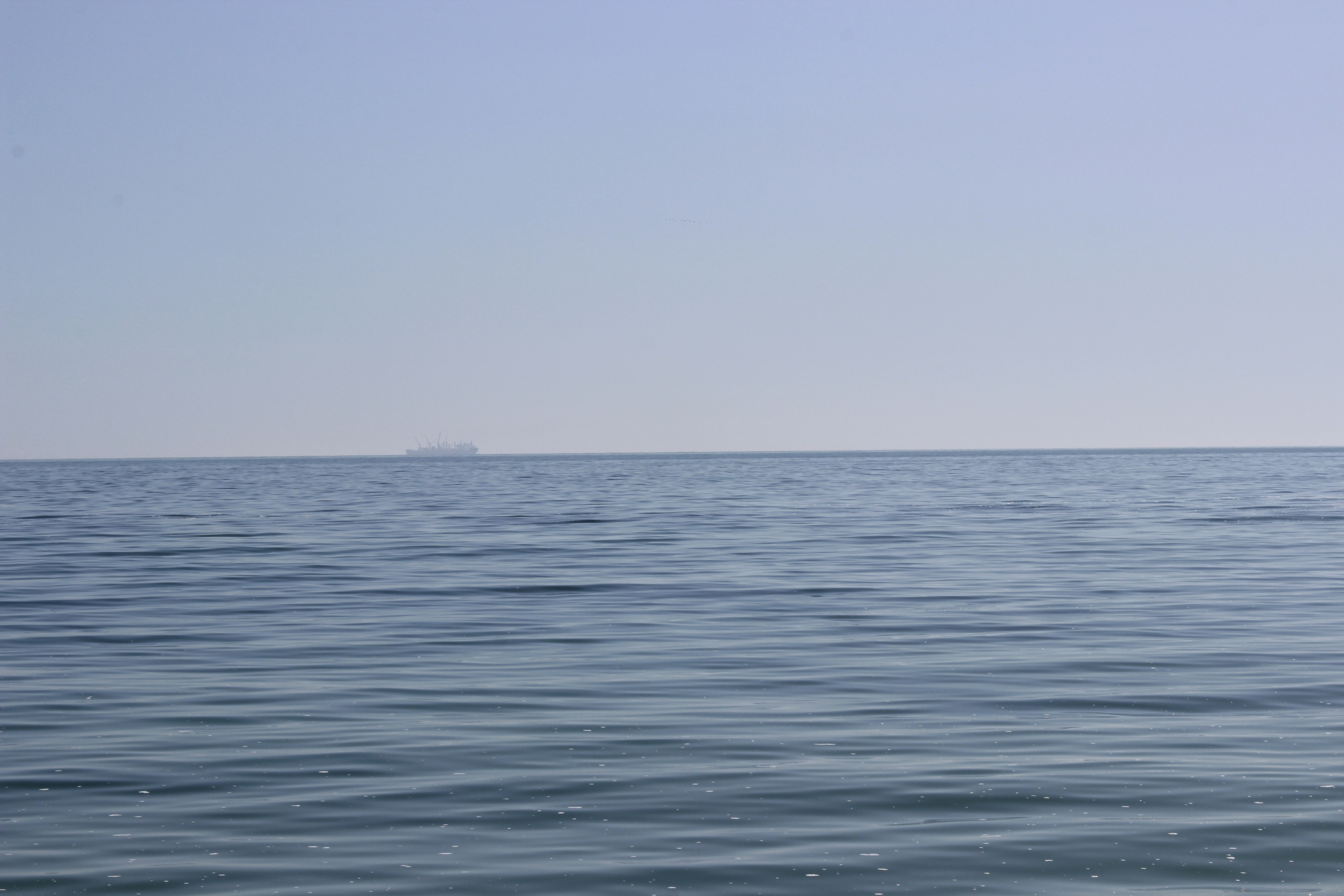 Photo by kateryna_shevchenko