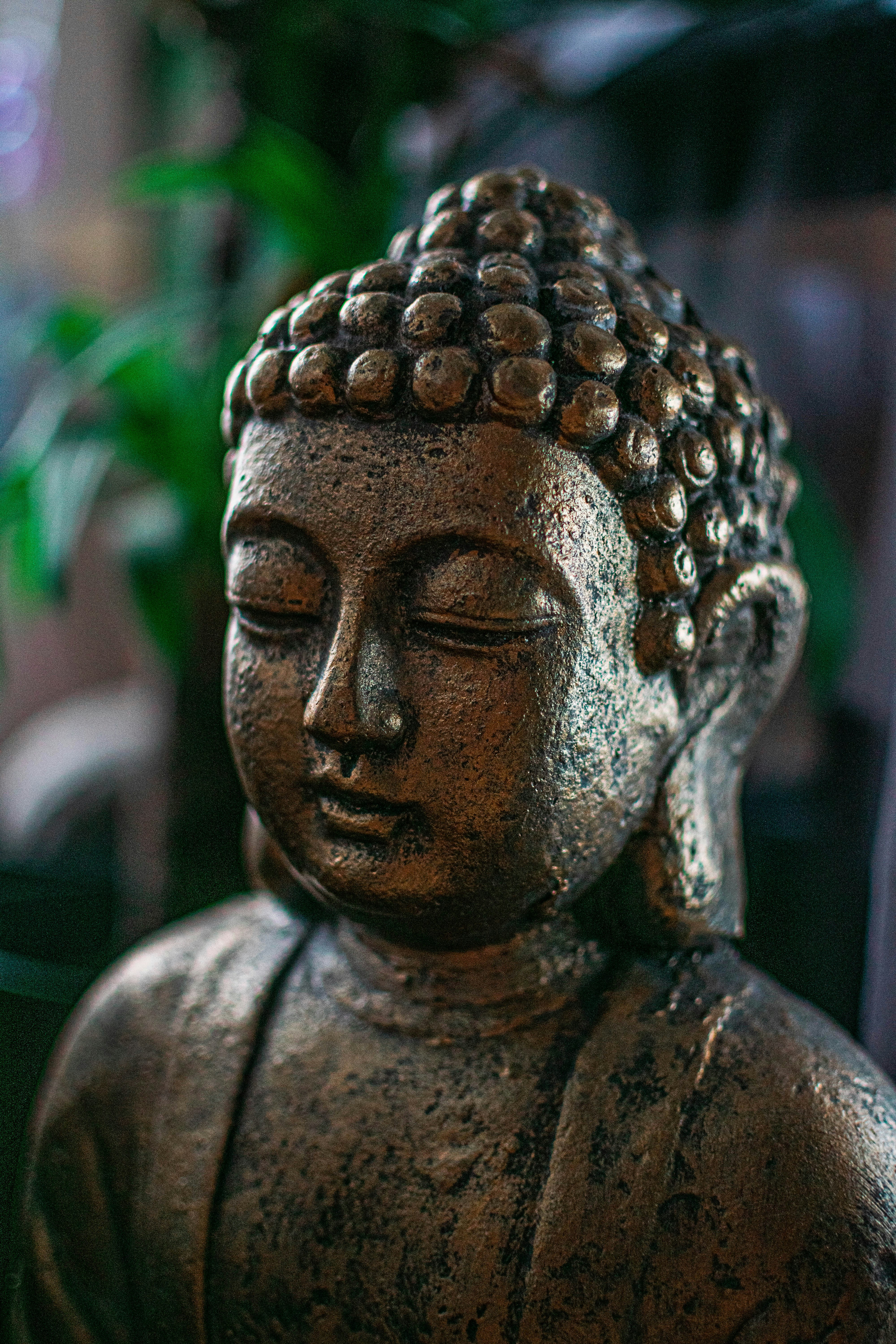 Photo by monsterlevel