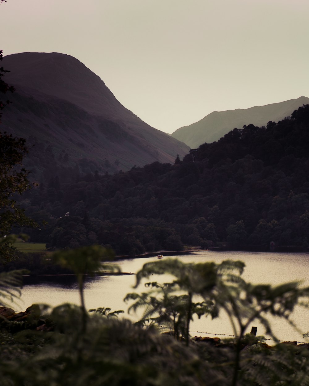 a body of water with trees and mountains in the background