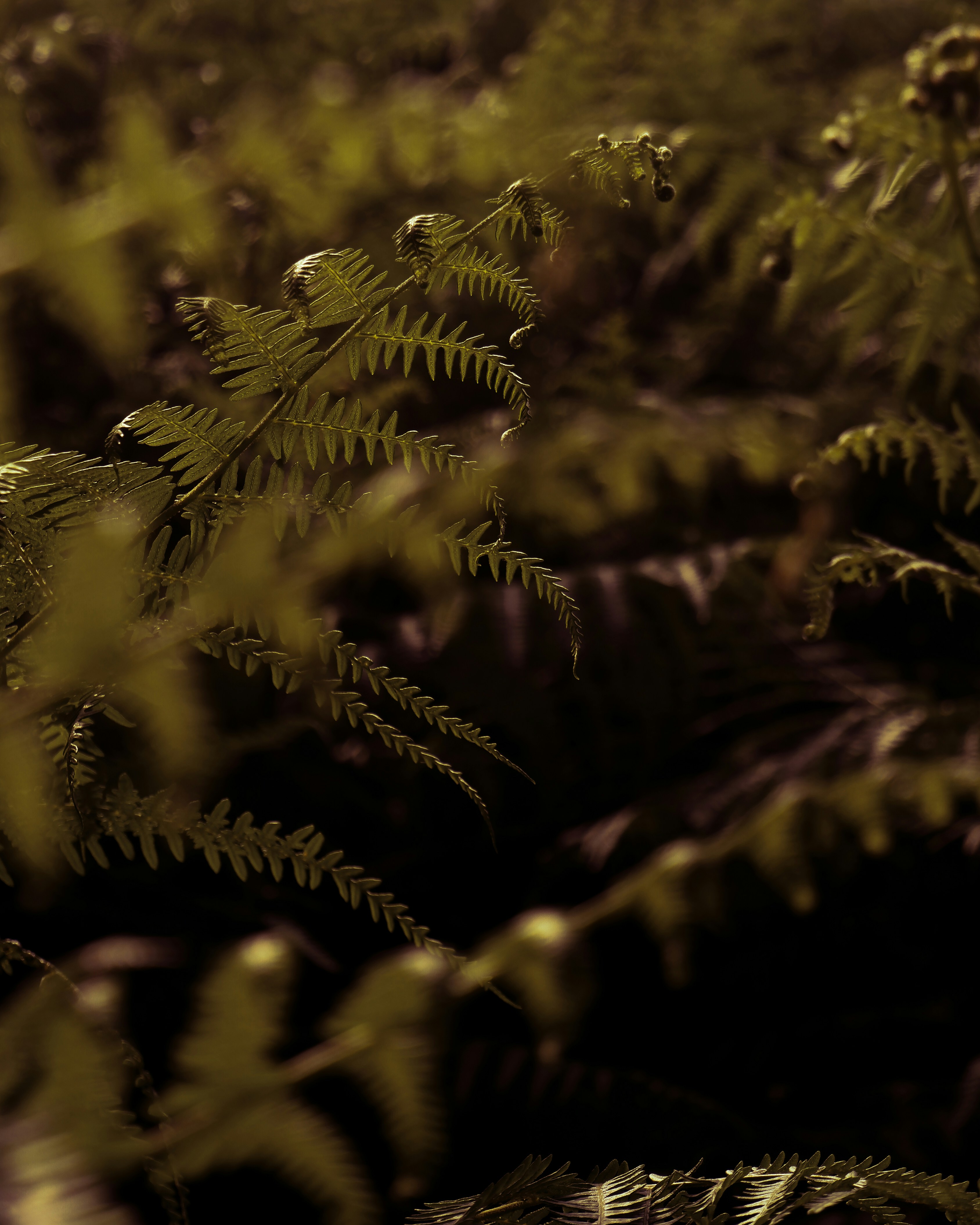 Photo by charliejones04