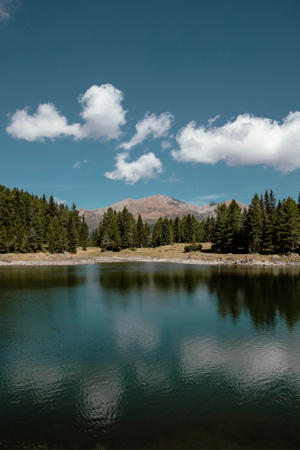 a lake with trees and mountains in the background