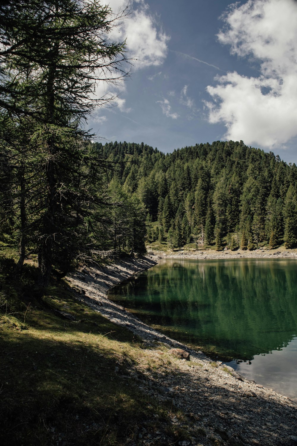 a lake surrounded by trees