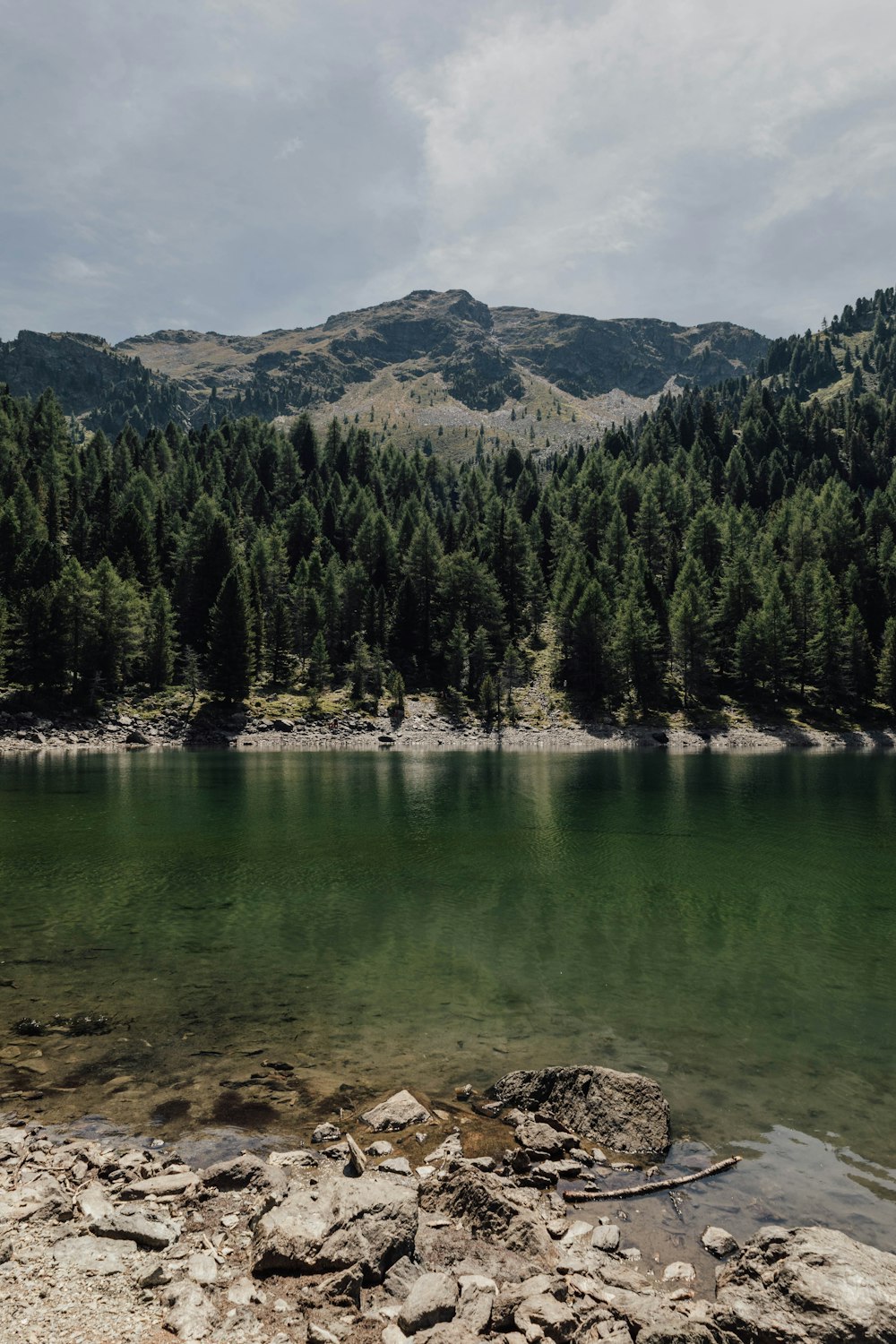 a lake with trees and mountains in the background