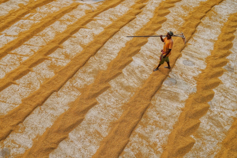 a person walking through a field