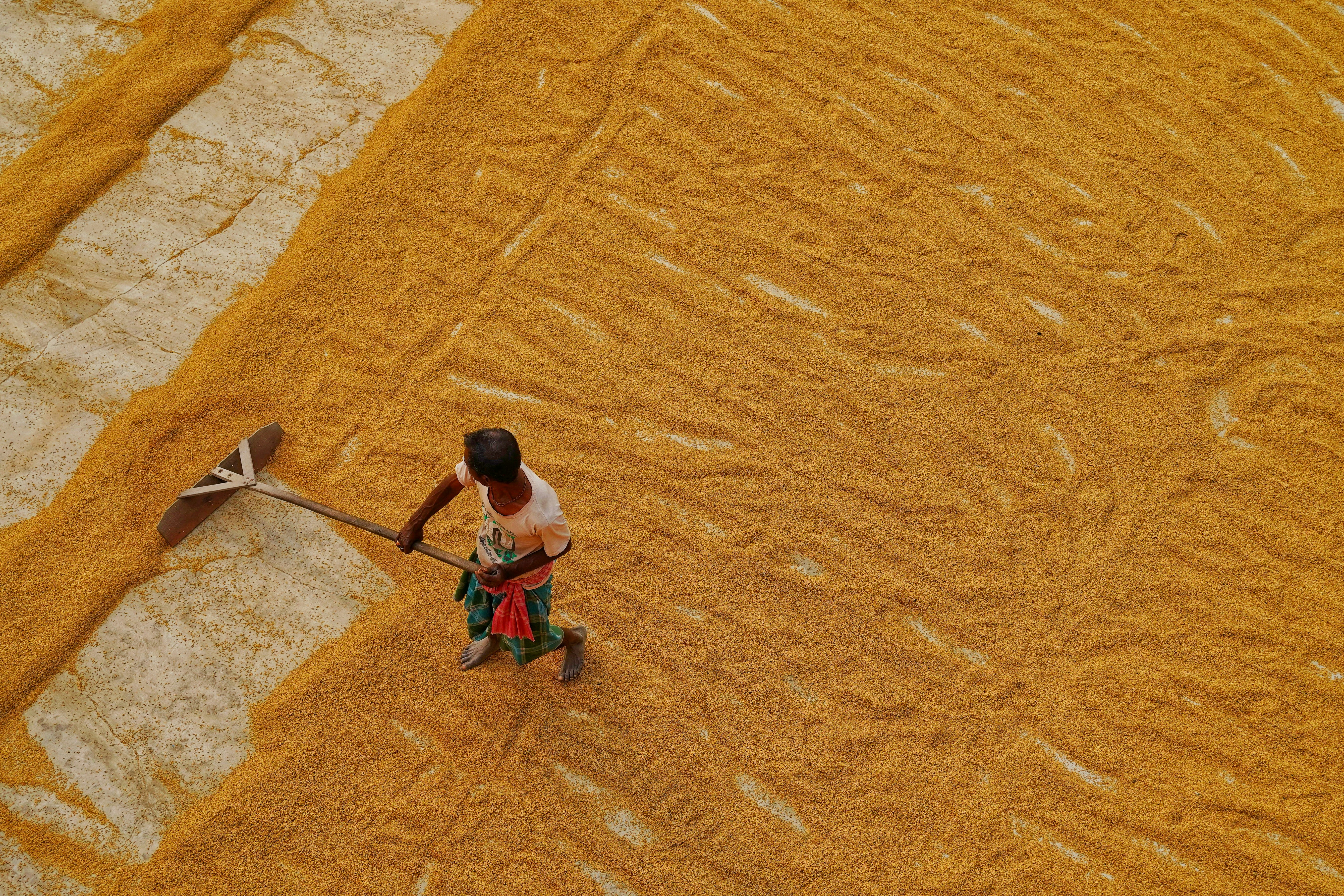 Photo by dibakar16roy