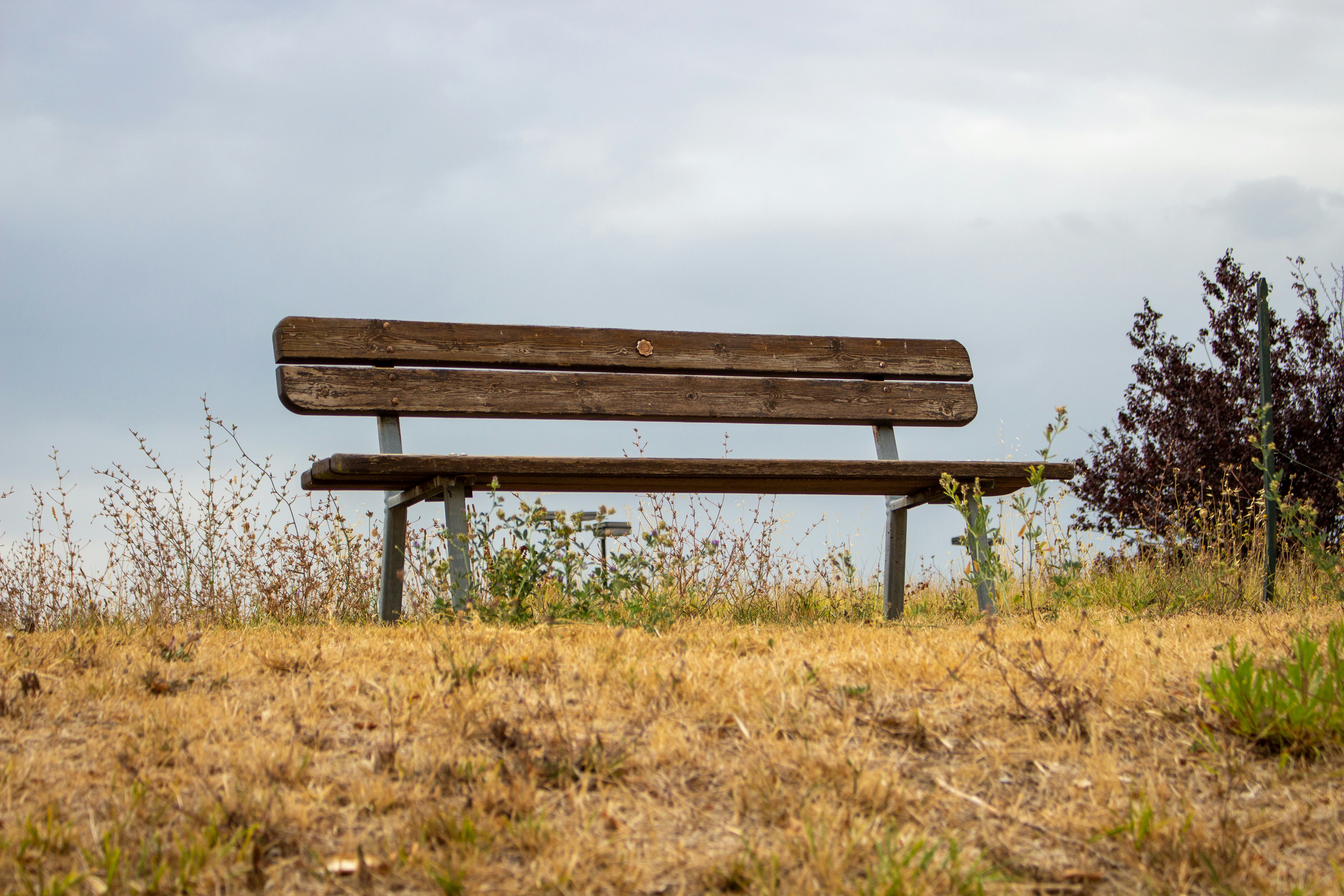 Photo by alexandroap