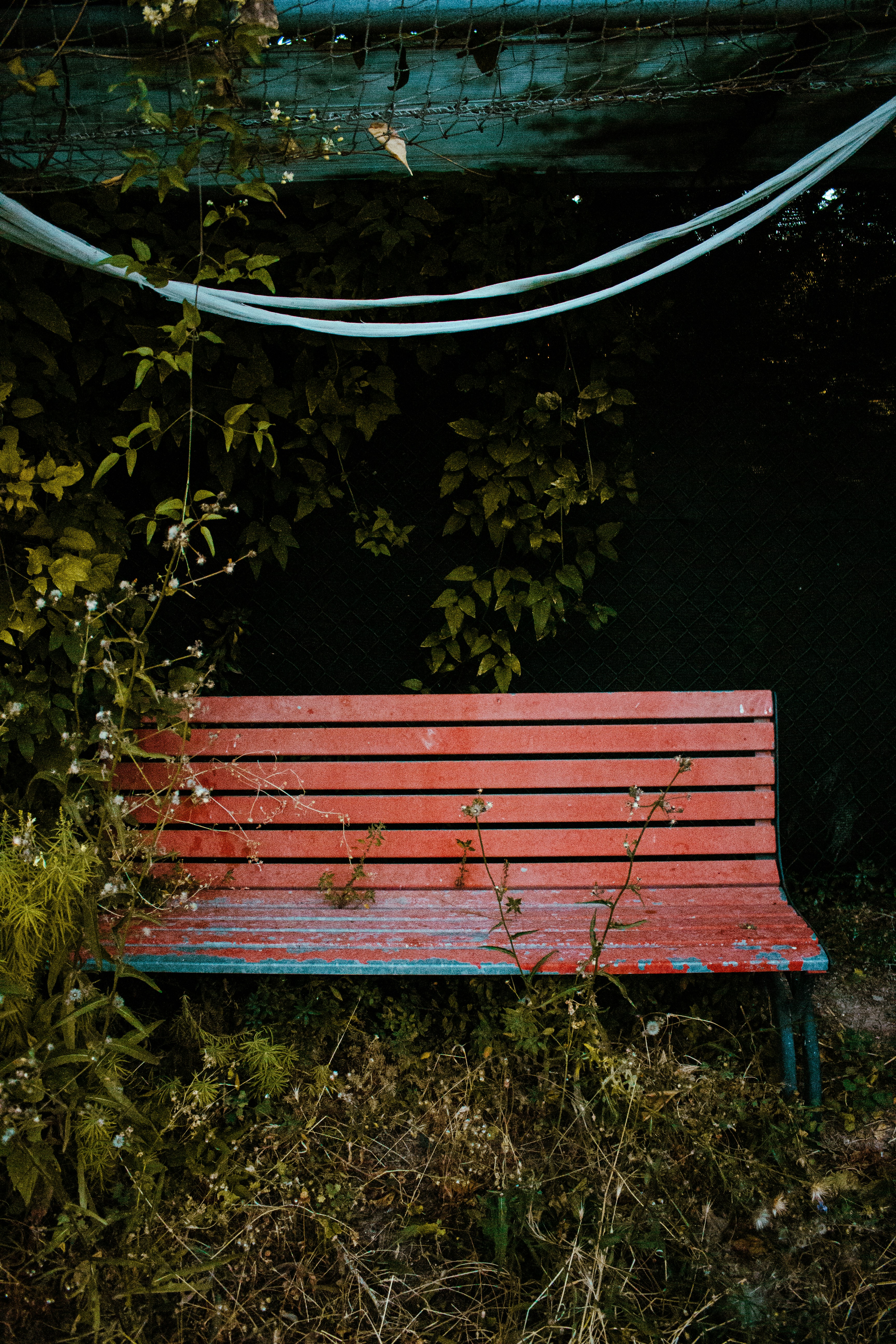 Photo by alexandroap