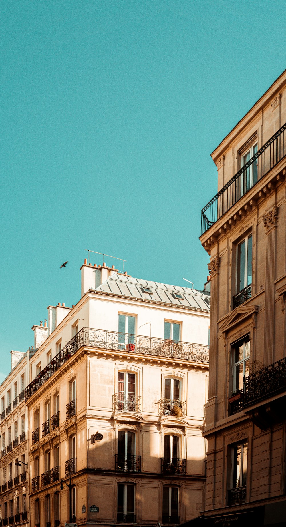 a bird flying over a building