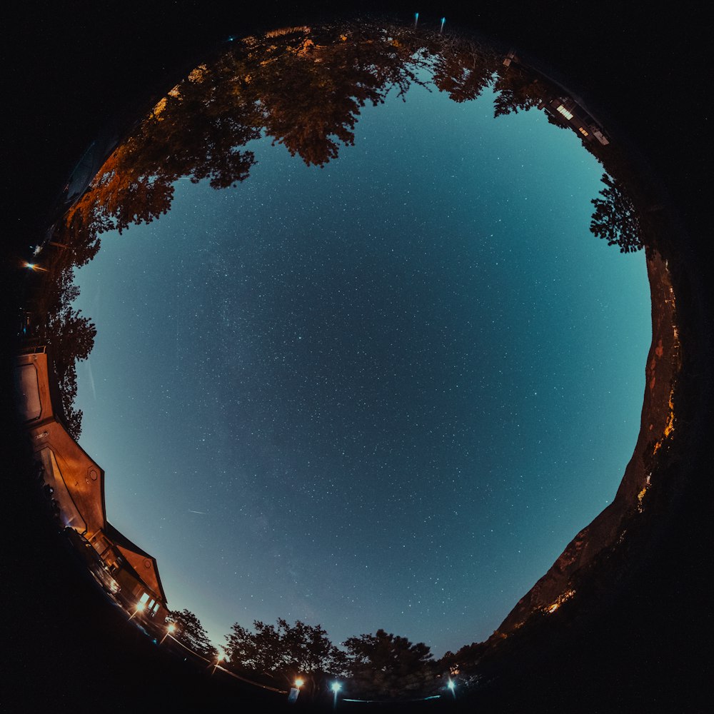 Un árbol con luces por la noche