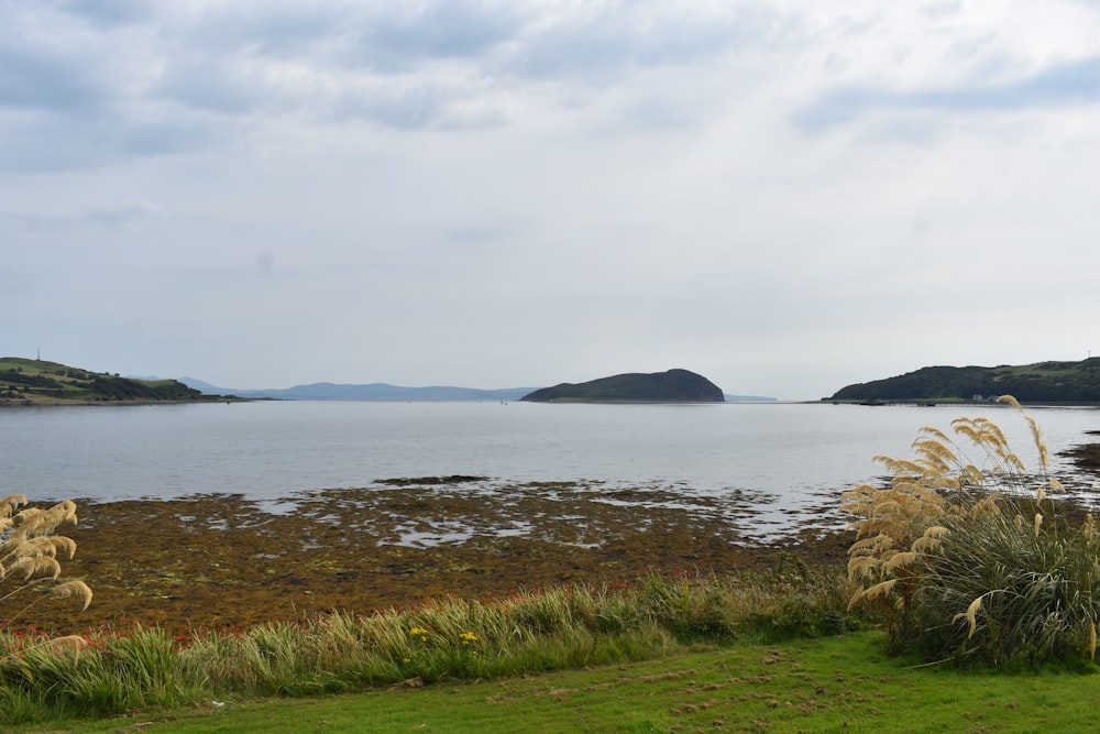 a body of water with land in the back