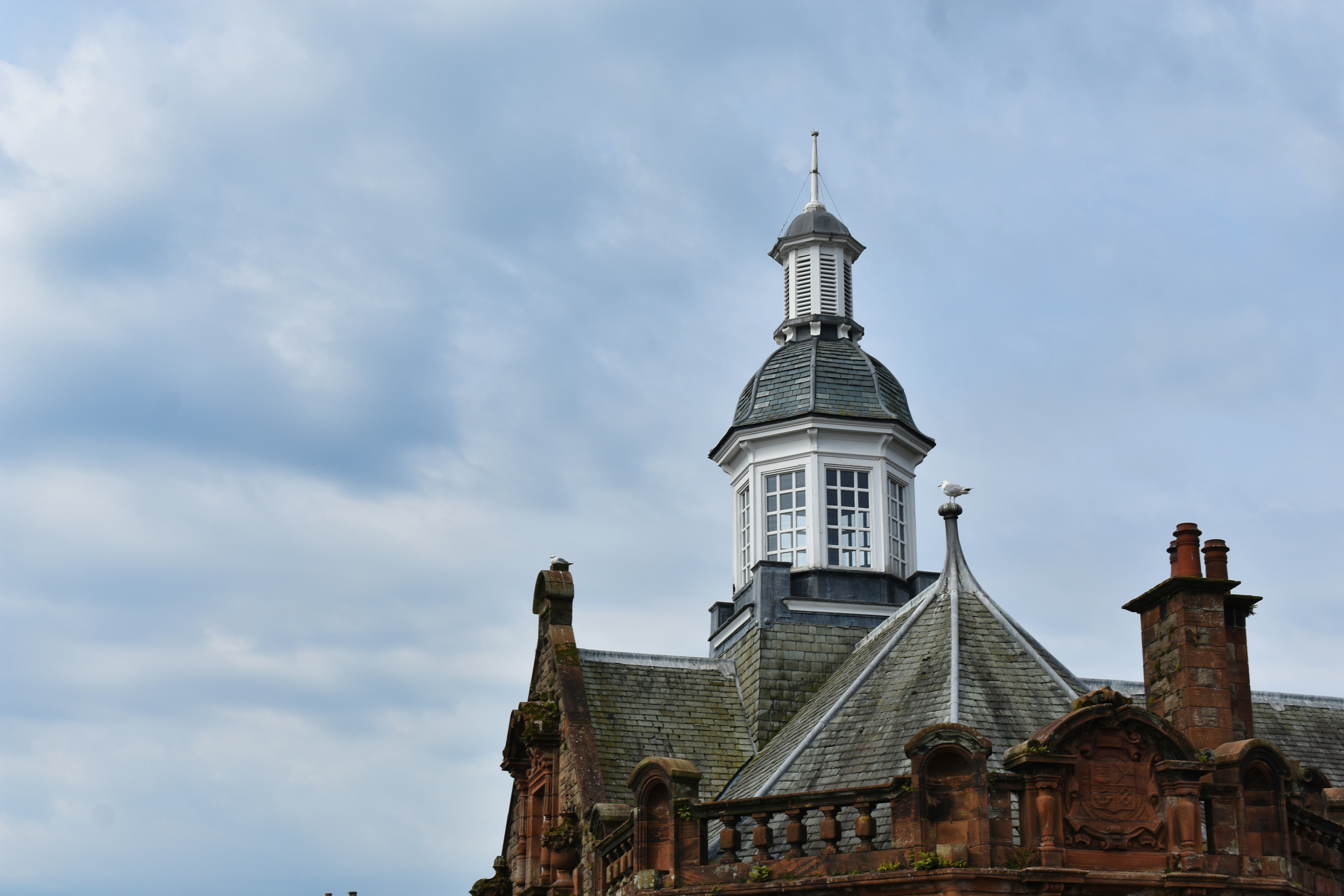 Photo by andrew_hall