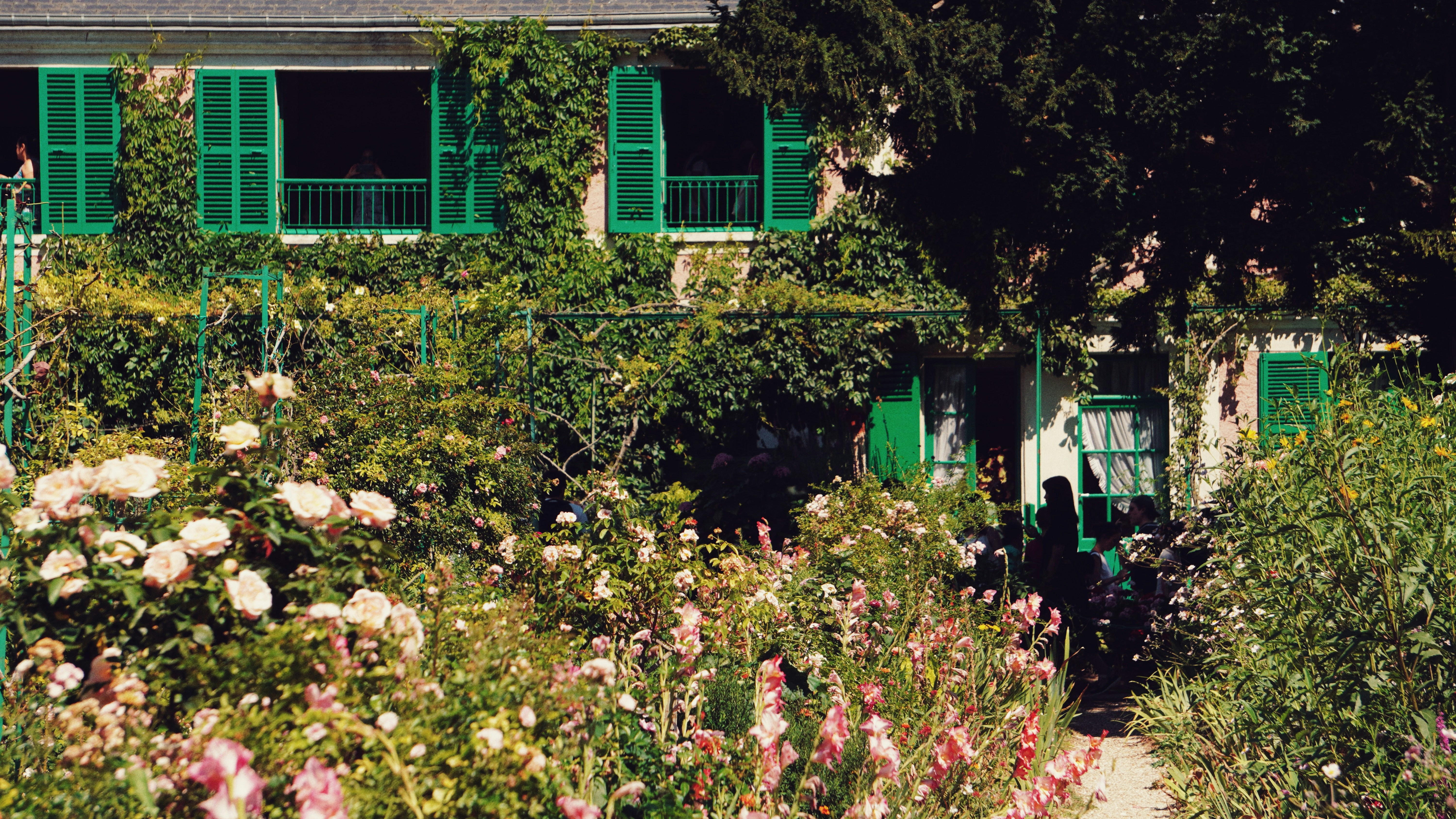 a garden with flowers and a house