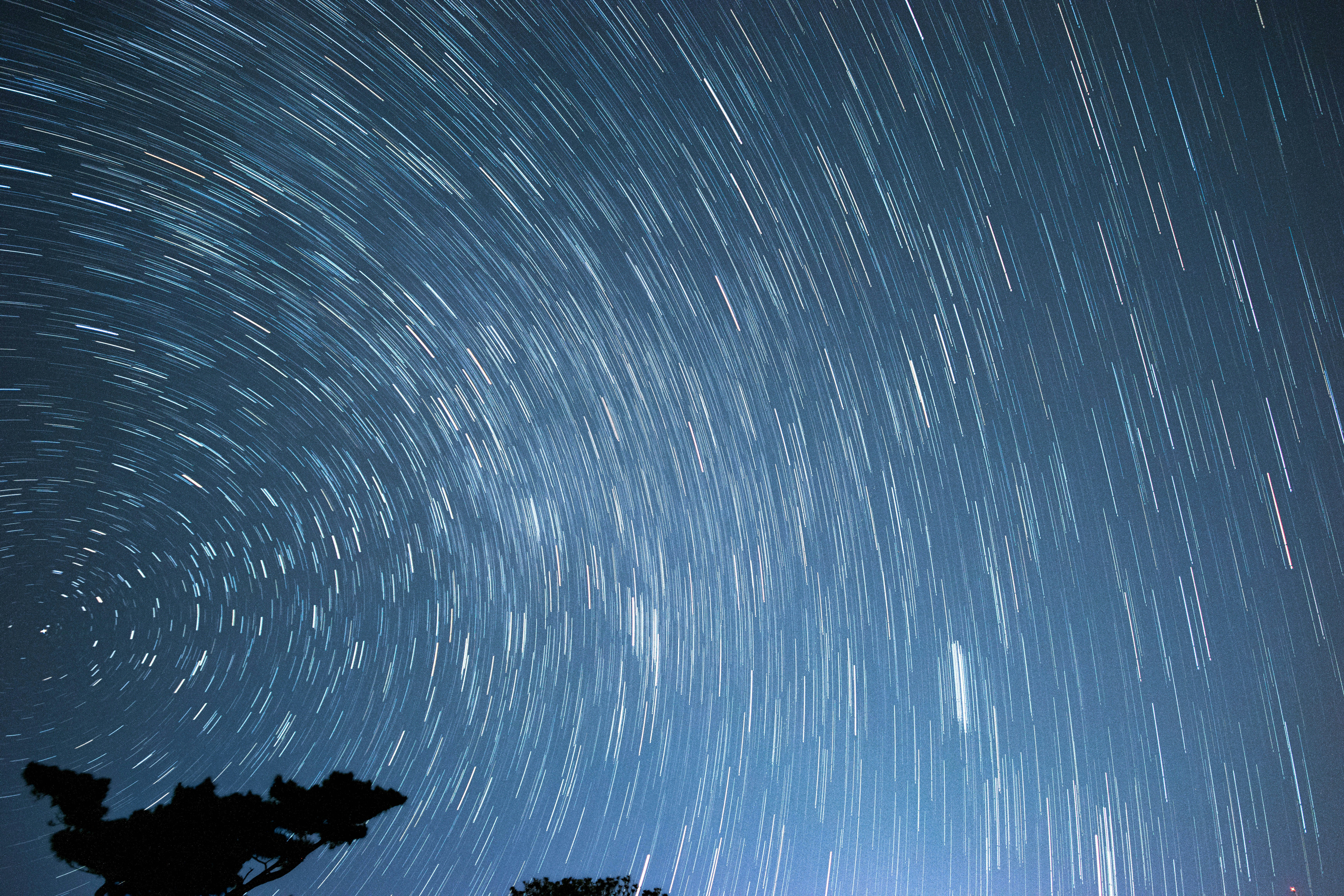 Photo by roberthsu1054