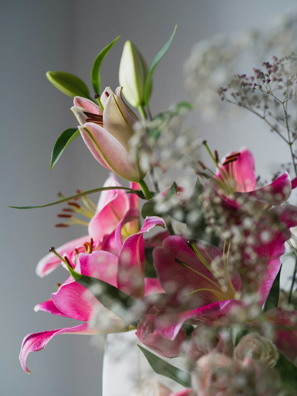 a close up of a flower