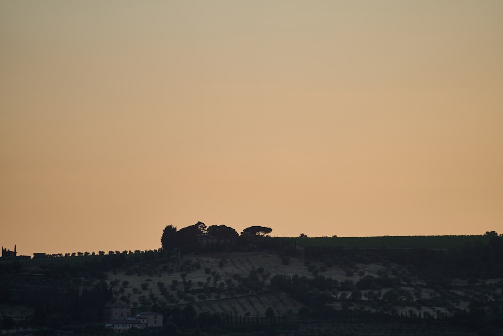 a landscape with trees and buildings