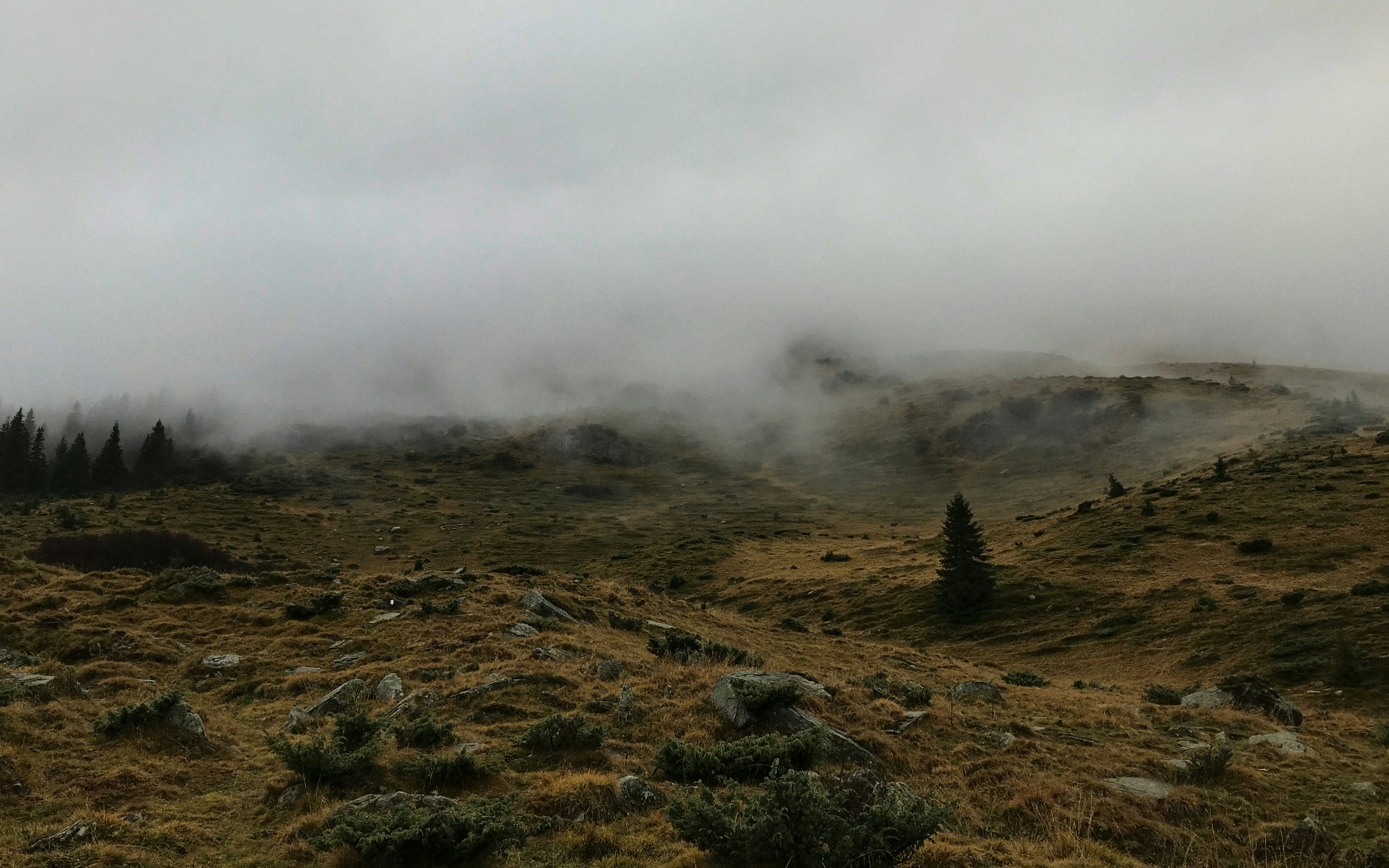 Photo by mykytashamota