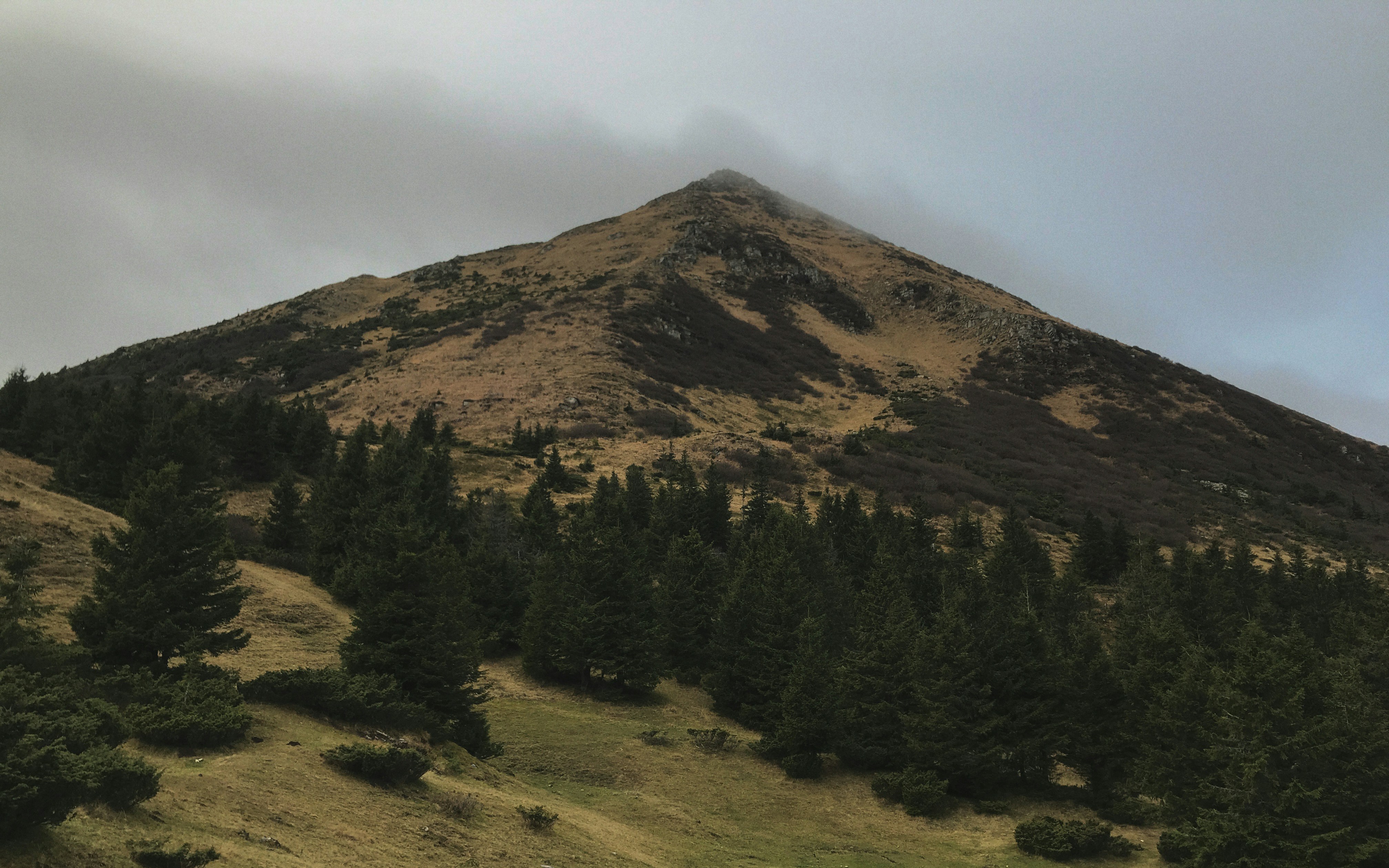 Photo by mykytashamota