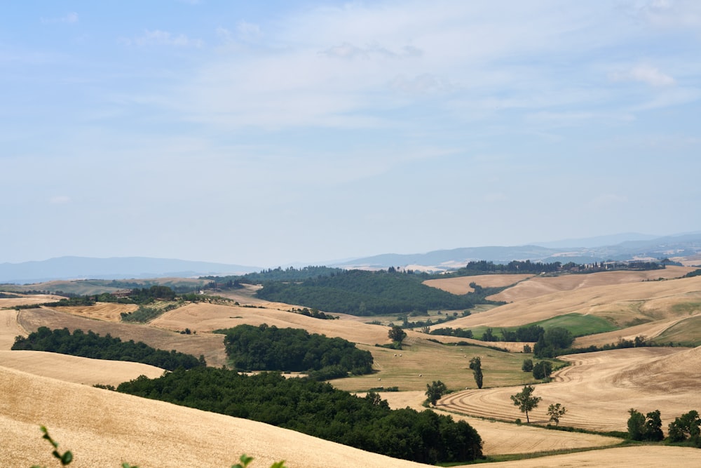 a landscape with trees and hills