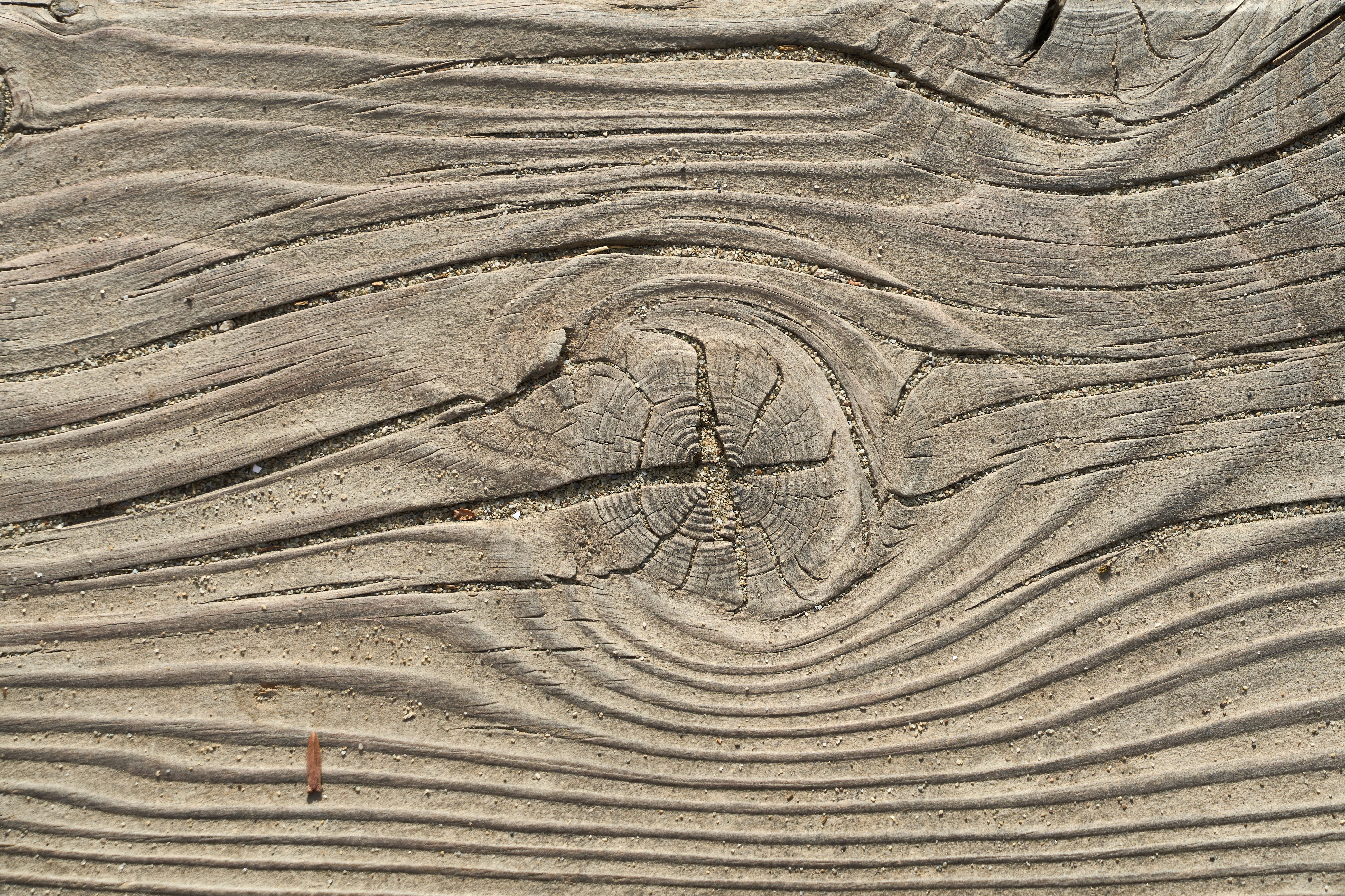 Photo by wolfgang_hasselmann