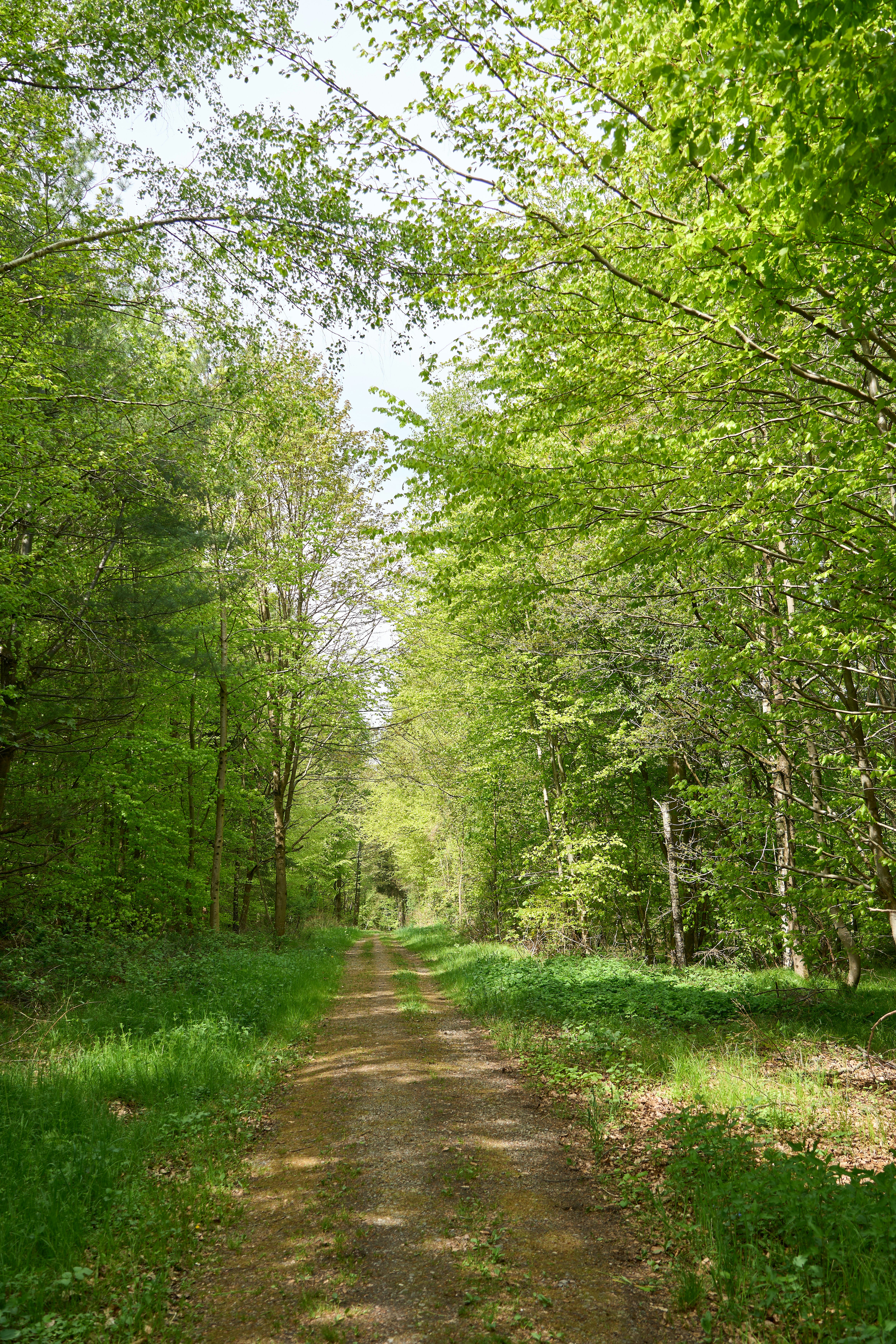 Photo by wolfgang_hasselmann