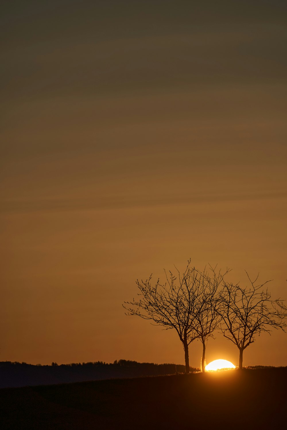 a sunset over a field