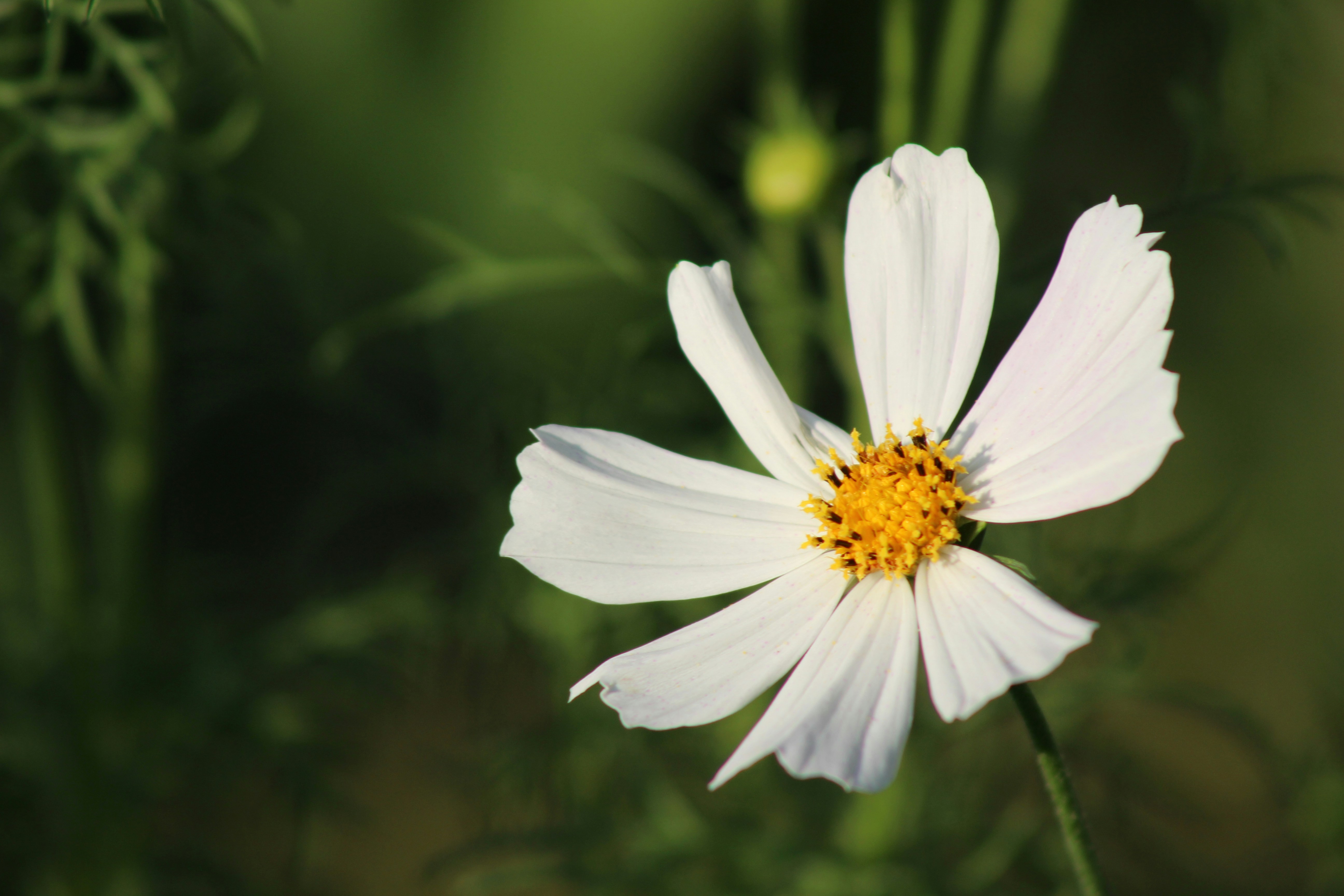 Photo by marjorylucabaxter