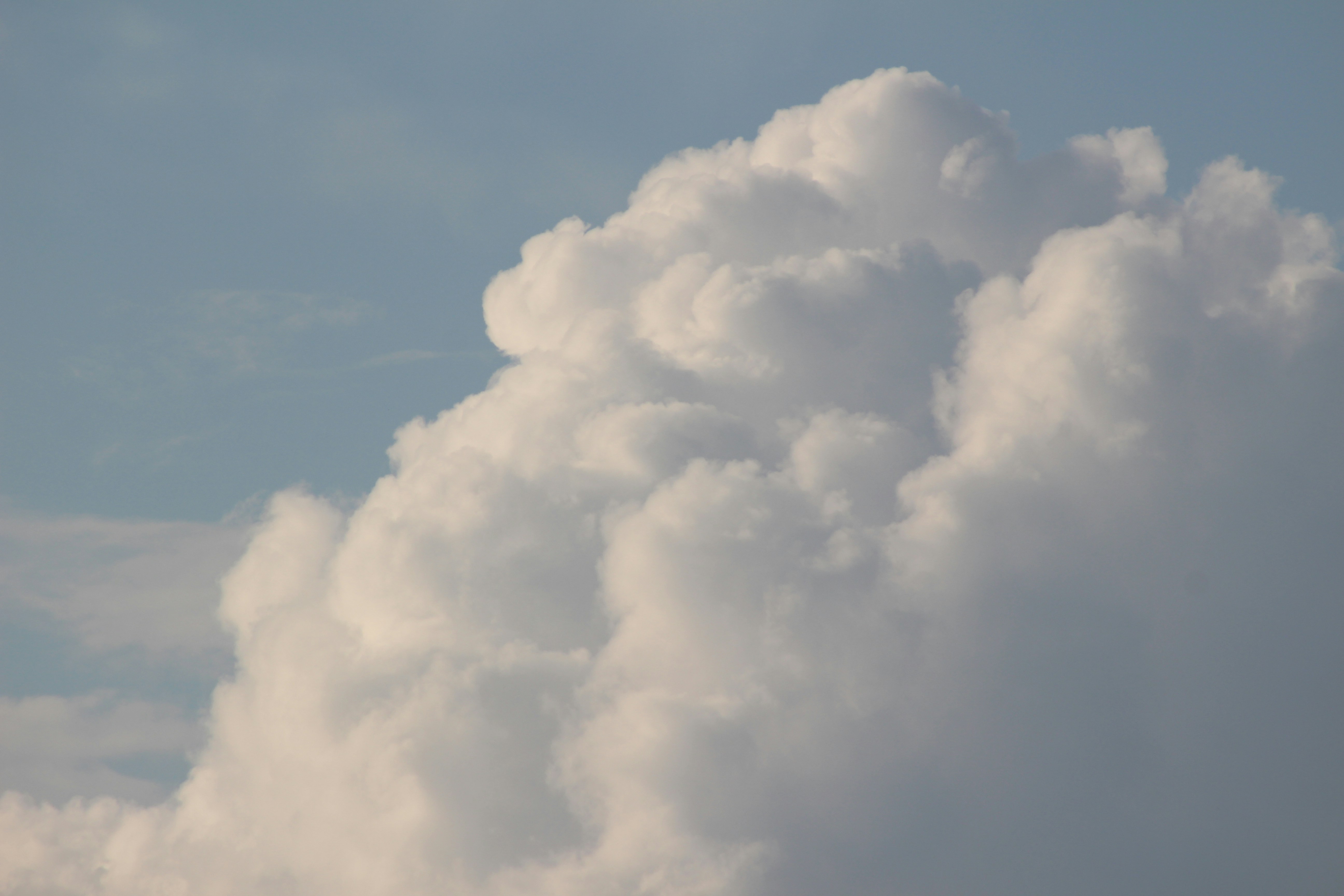 Photo by marjorylucabaxter