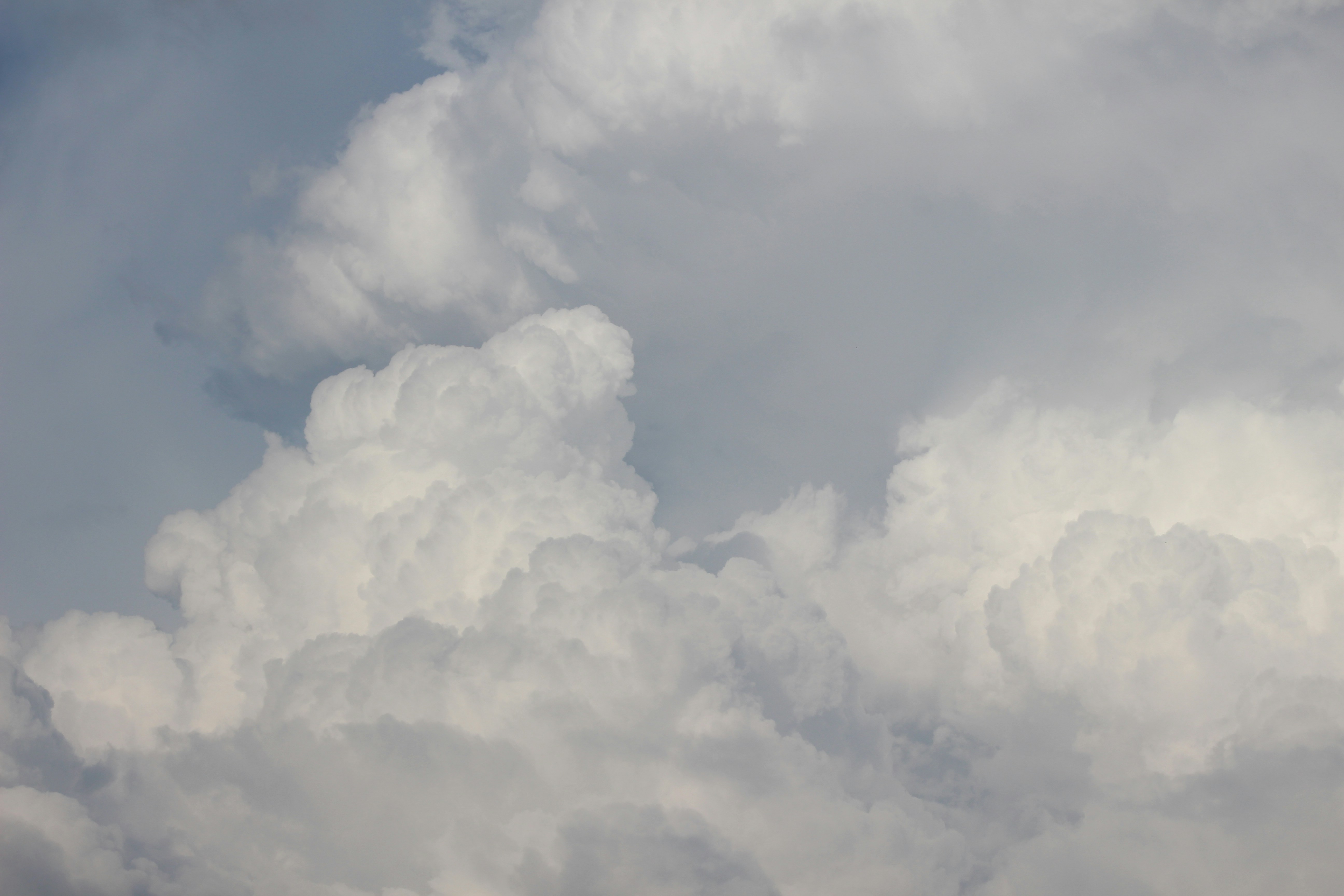 Photo by marjorylucabaxter