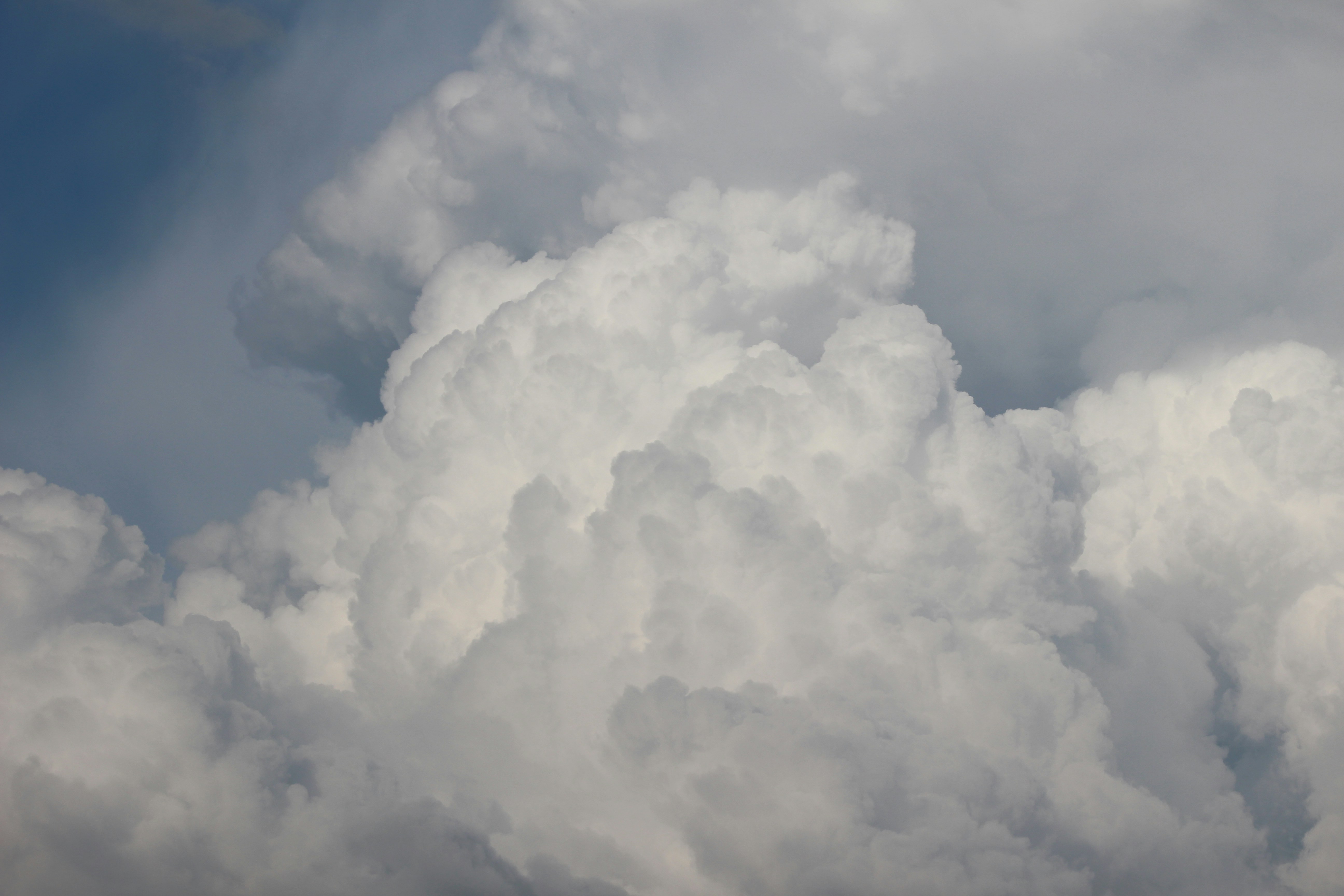 Photo by marjorylucabaxter