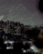 Image of a serene nature scene used as background in a relaxation app.