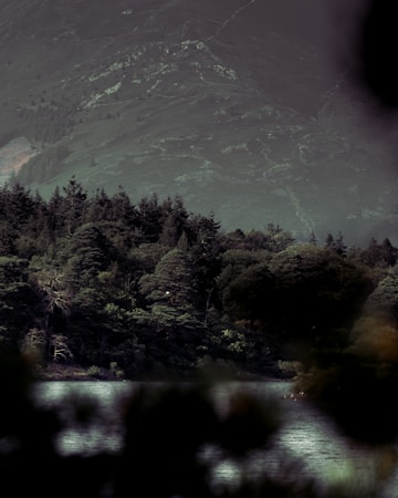 A serene landscape featuring a dense forest of evergreen trees bordered by a calm body of water. The background showcases a large, rugged mountain with visible rock formations and sparse vegetation. The scene conveys a sense of tranquility amid nature.