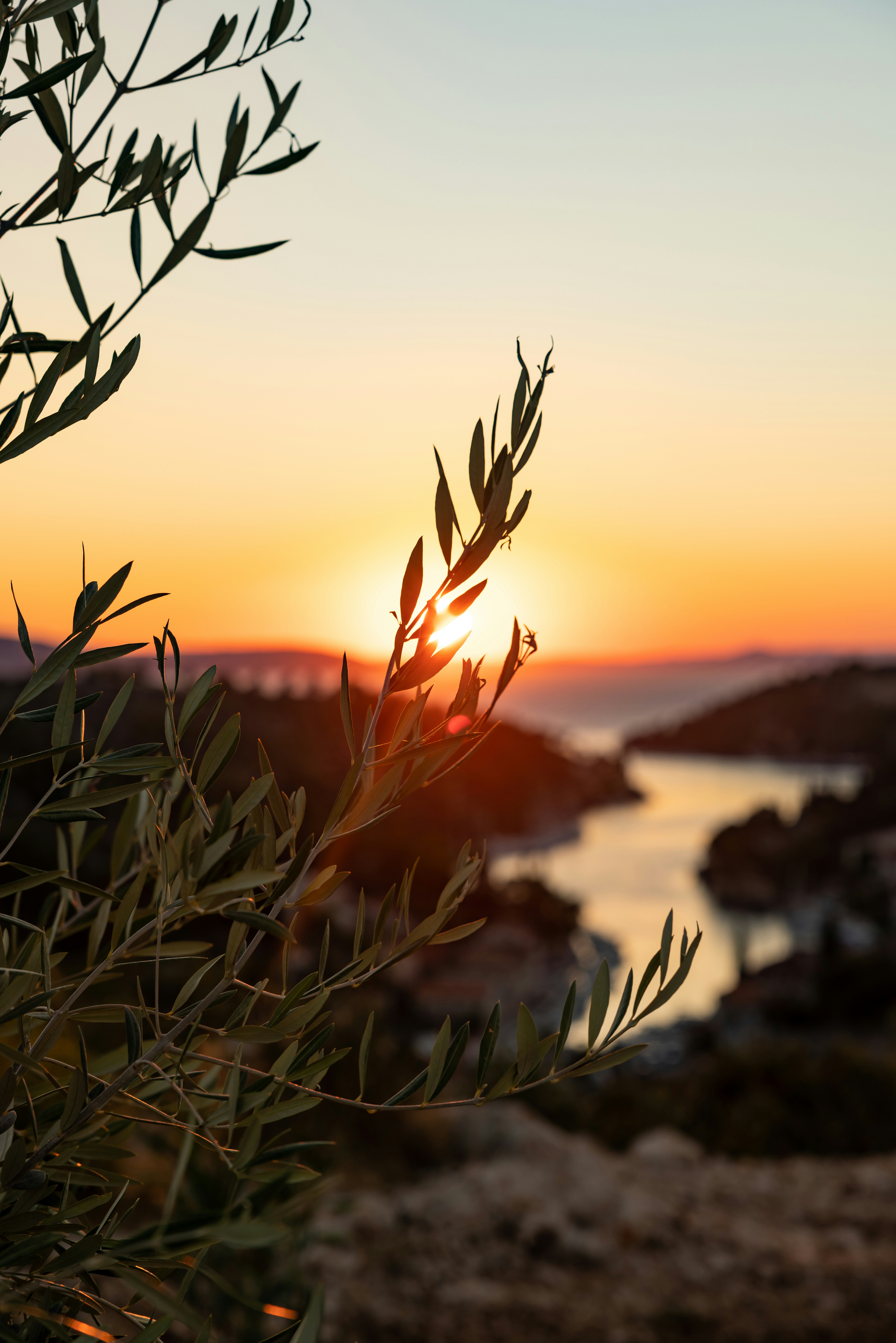 Photo by corbettcampbell