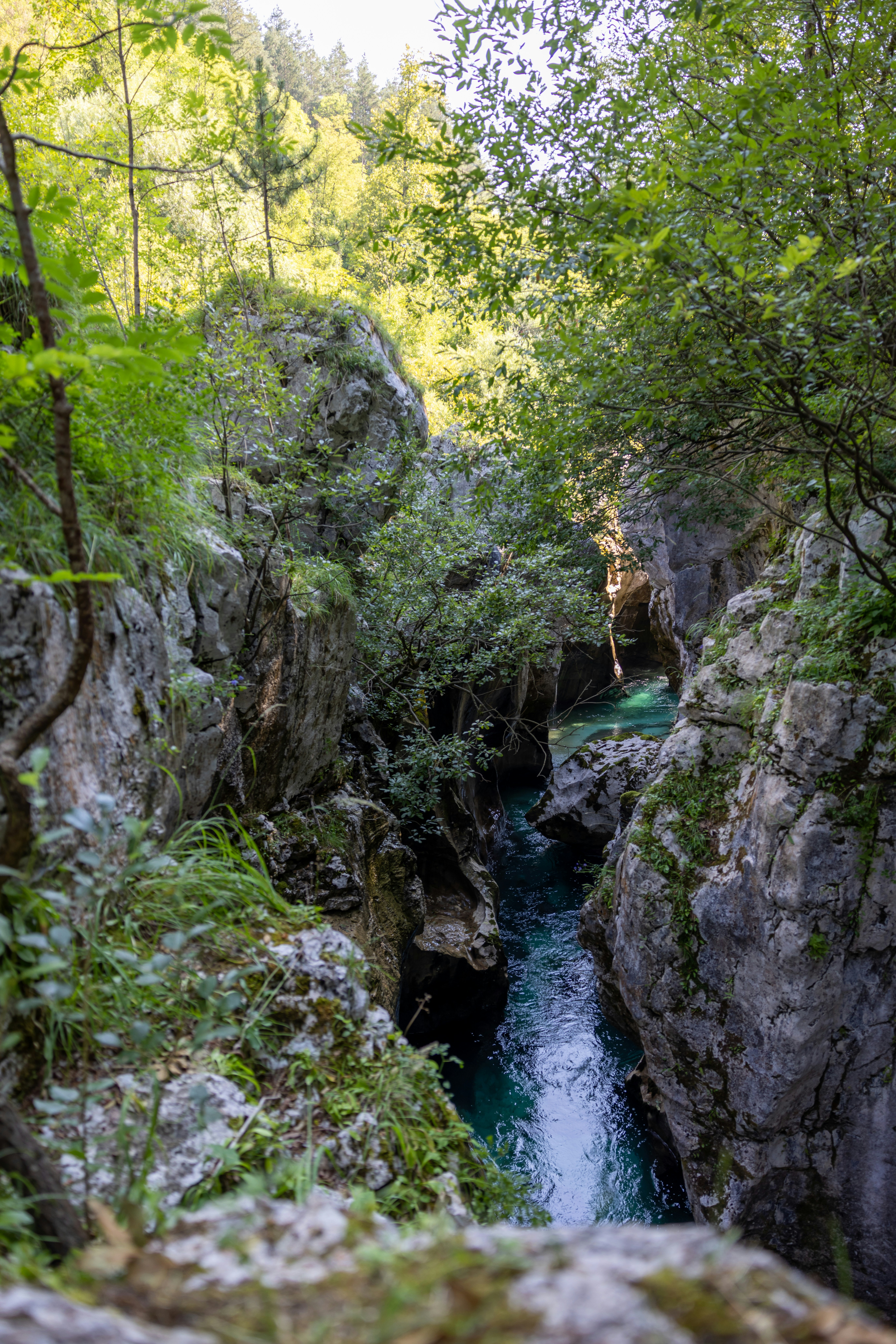 Photo by corbettcampbell