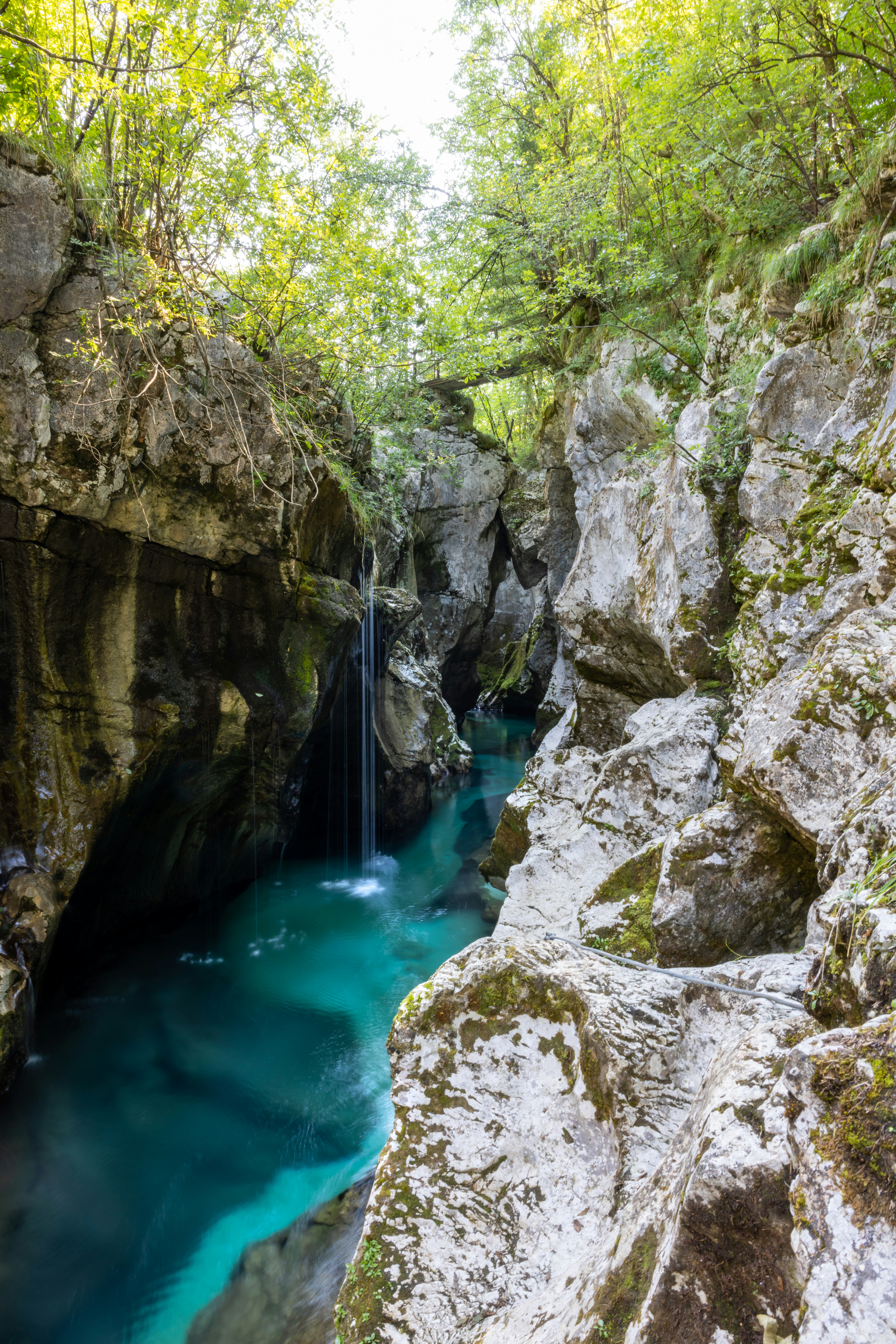 Photo by corbettcampbell