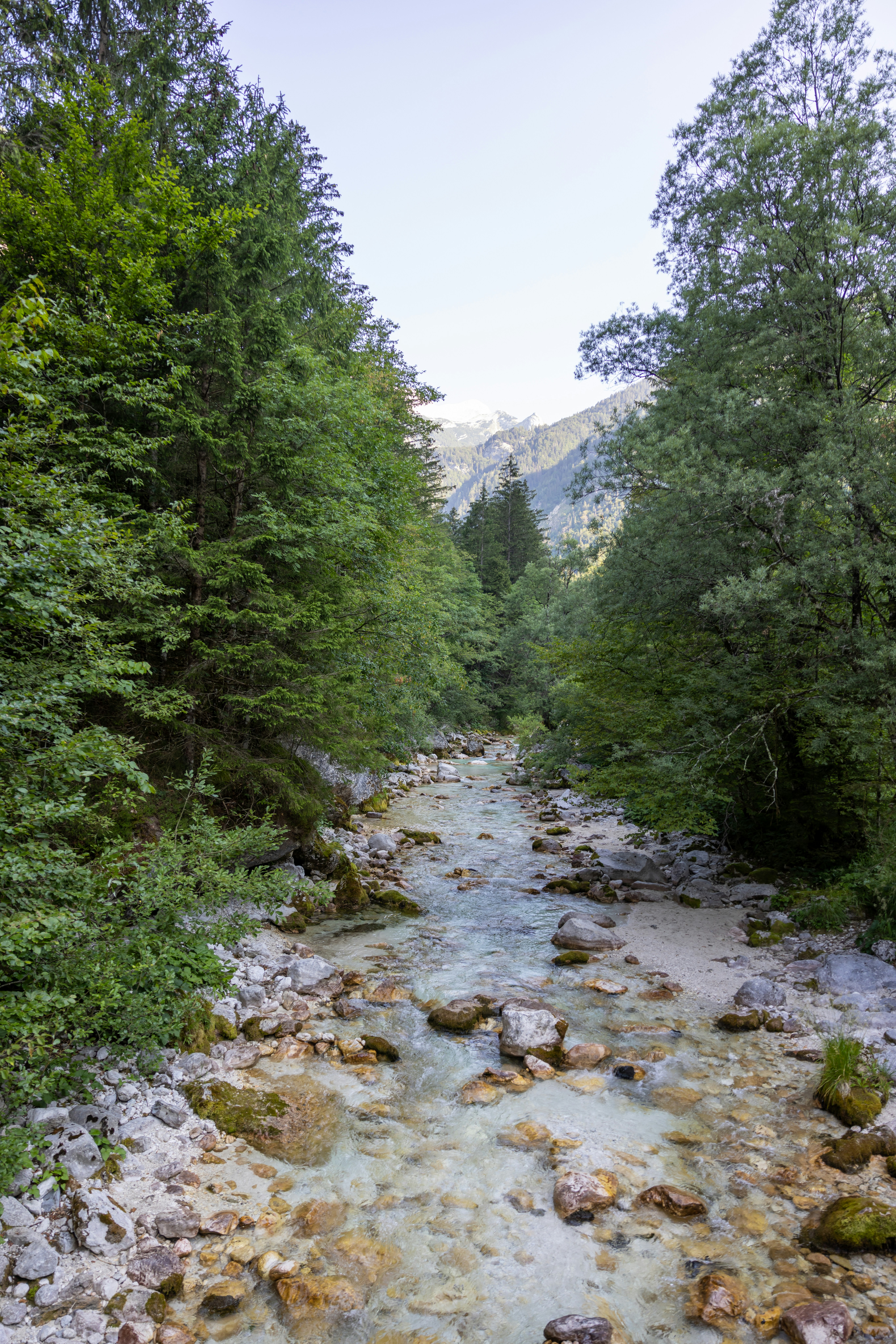 Photo by corbettcampbell