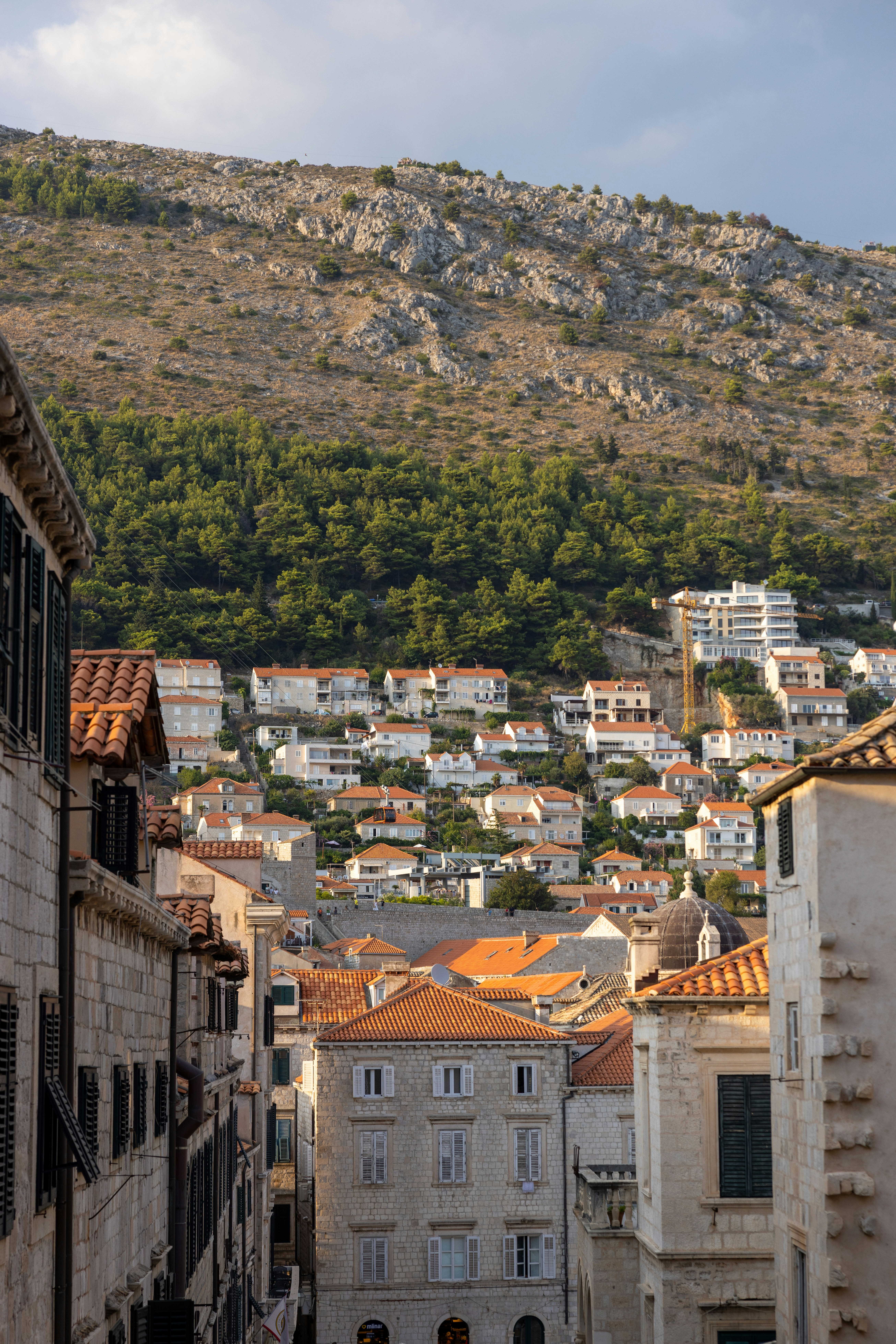 Photo by corbettcampbell