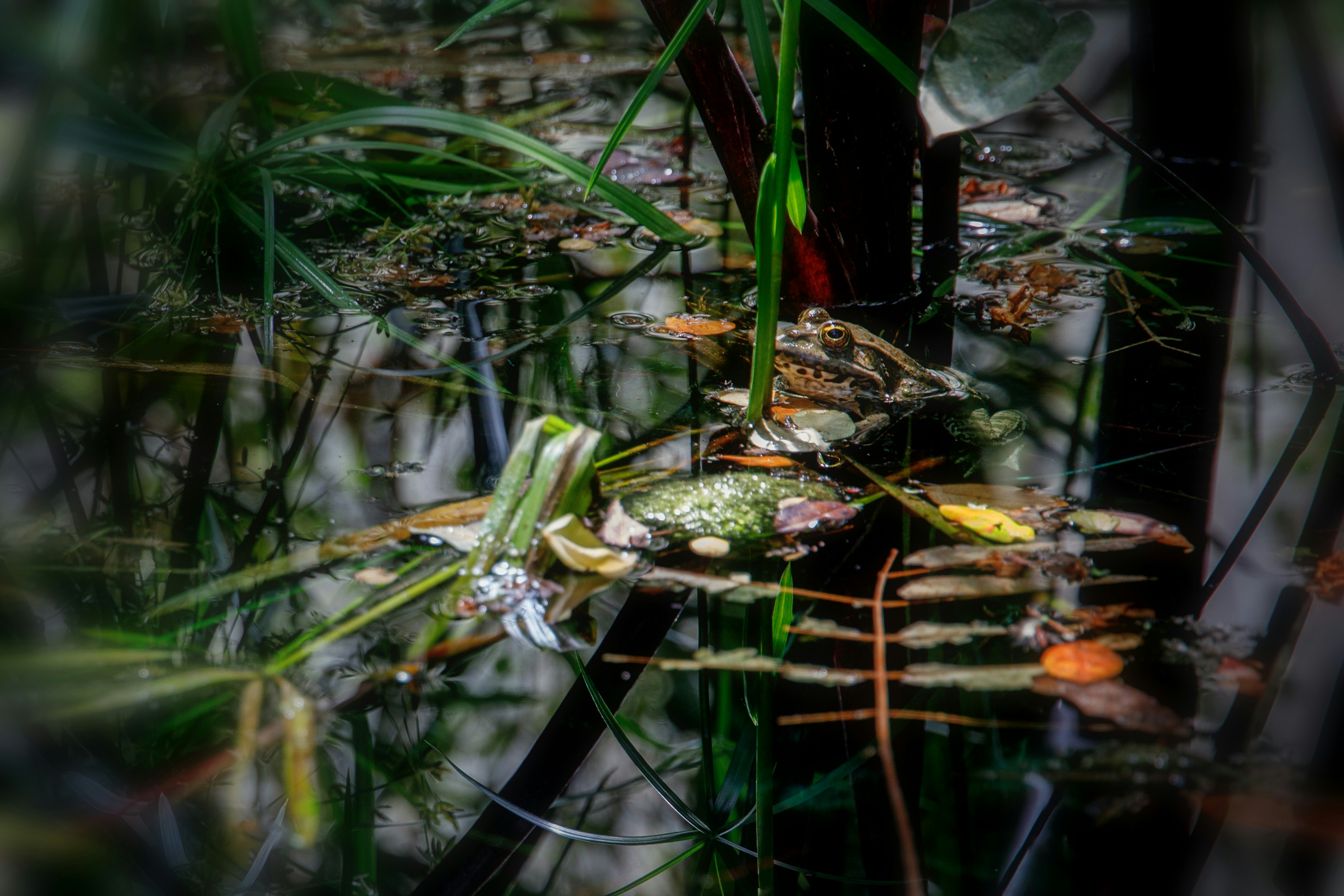 Photo by arizonanthony