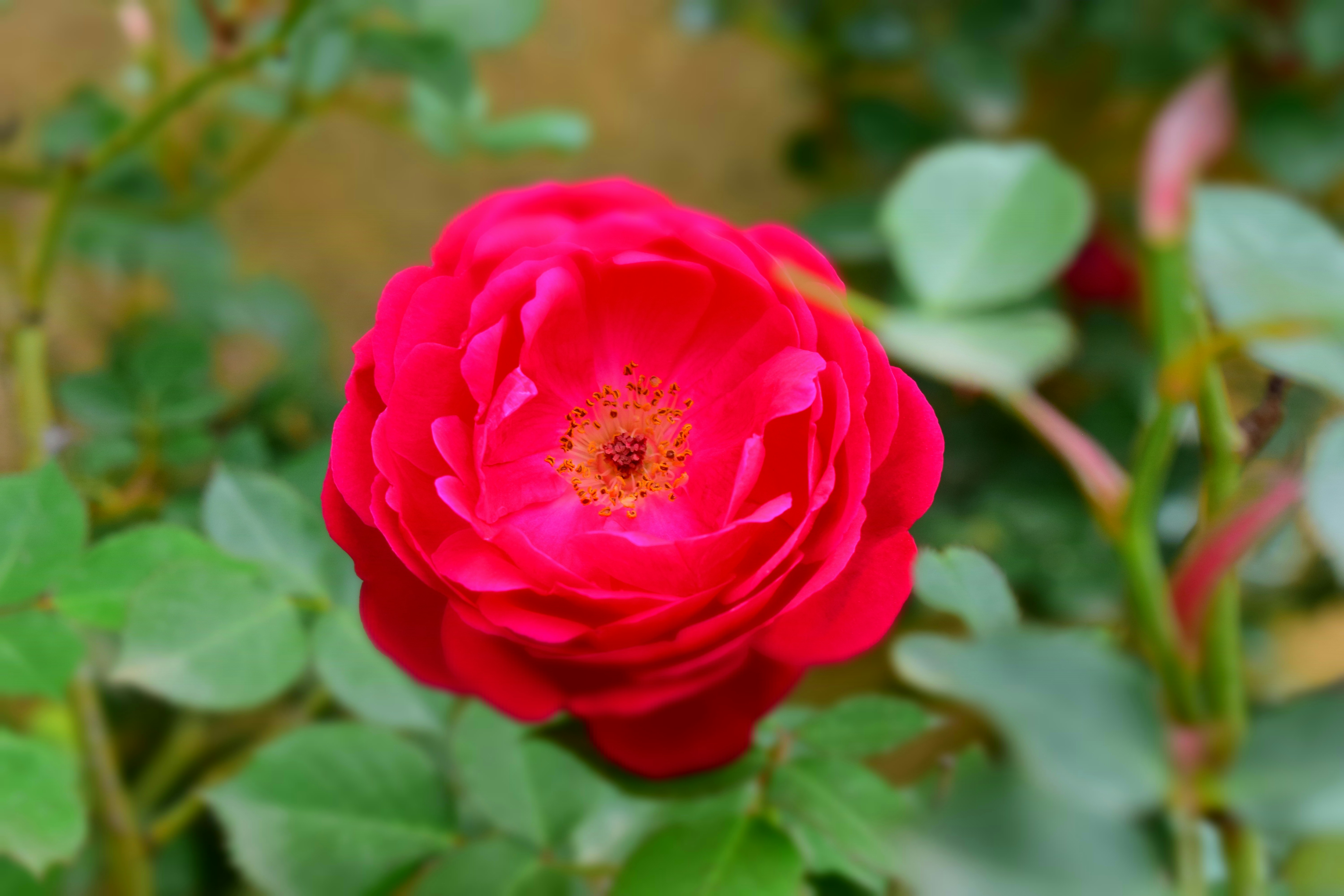 Photo by bluejasmine