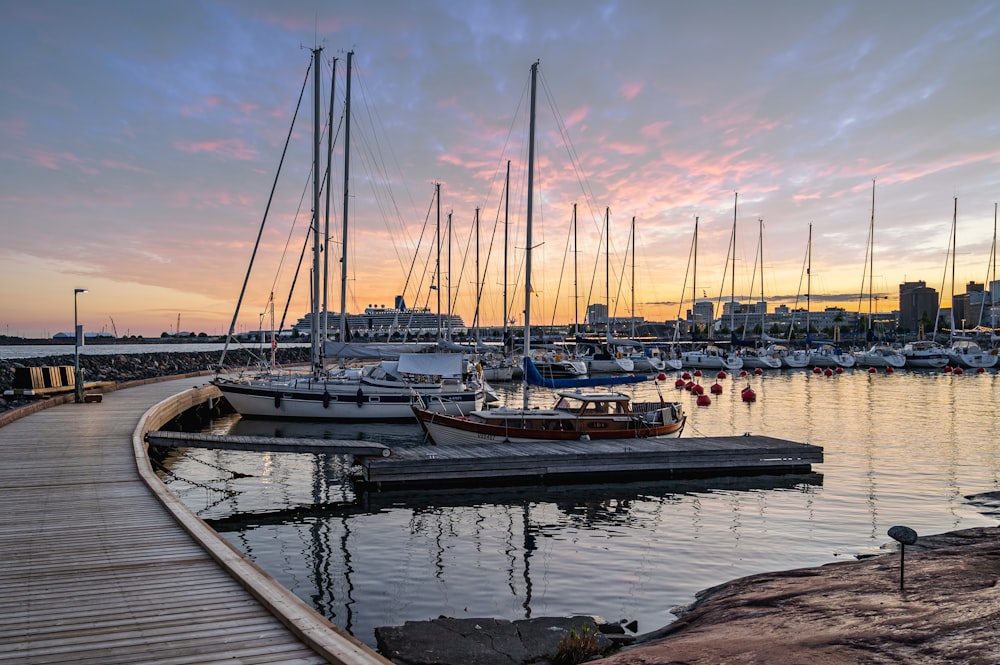 a marina full of boats