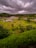 A lush green landscape with dense vegetation under a cloudy sky. The scene includes a body of water surrounded by various trees and shrubs. People can be seen scattered across the terrain, indicating a leisurely outdoor activity.