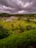 A lush green landscape with dense vegetation under a cloudy sky. The scene includes a body of water surrounded by various trees and shrubs. People can be seen scattered across the terrain, indicating a leisurely outdoor activity.