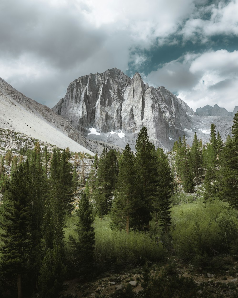 a mountain with trees and clouds